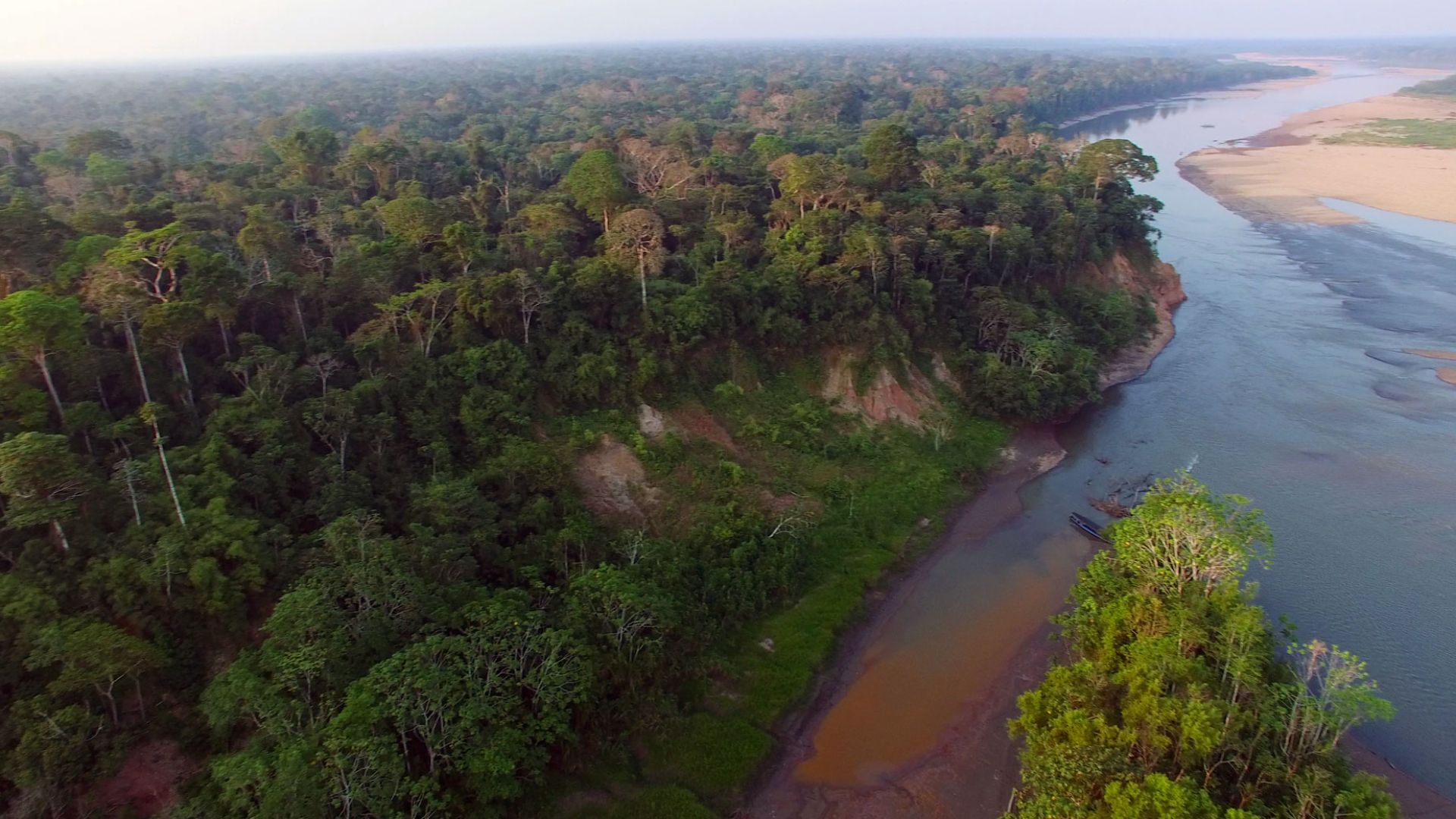 The Colorado Clay Lick (Collpa Colorado) in the Tambopata National Reserve, Peru.