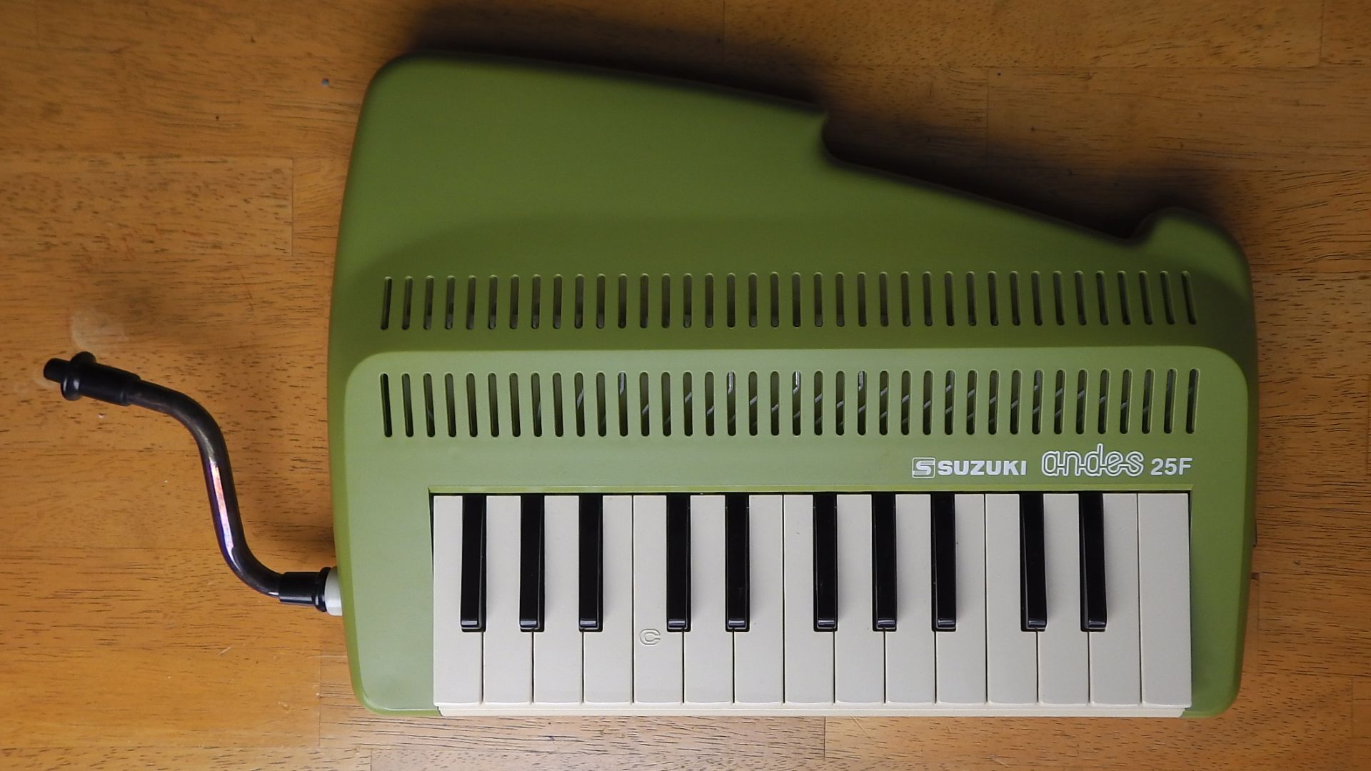 This is my musical instrument, Suzuki Andes 25 F.Public domainPublic domainfalsefalseI, the copyright holder of this work, release this work into the public domain. This applies worldwide.In some countries this may not be legally possible; if so:
