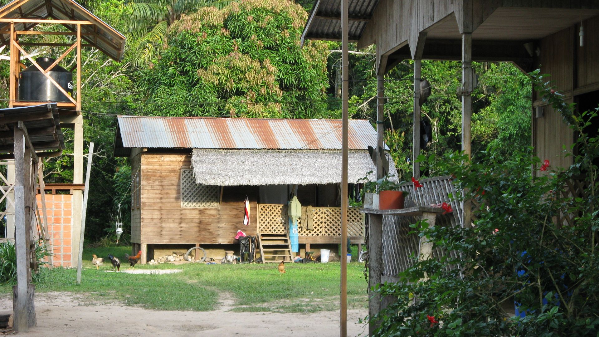 Panguana in 2008.