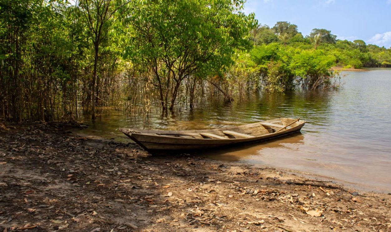 A traditional wooden canoe rests by the lush banks of a river in the Amazon rainforest, Brazil