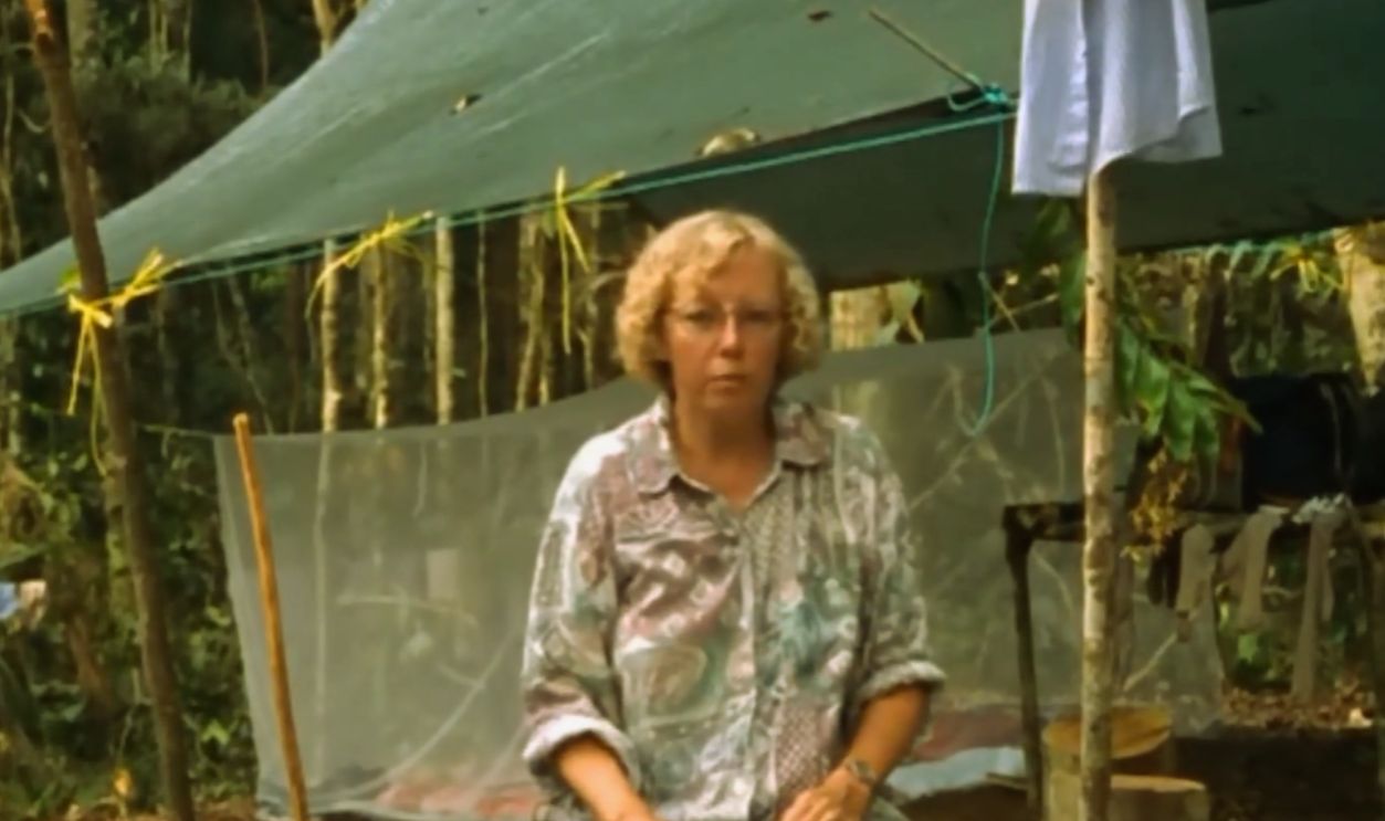 Screenshot from Wings of Hope (1998)