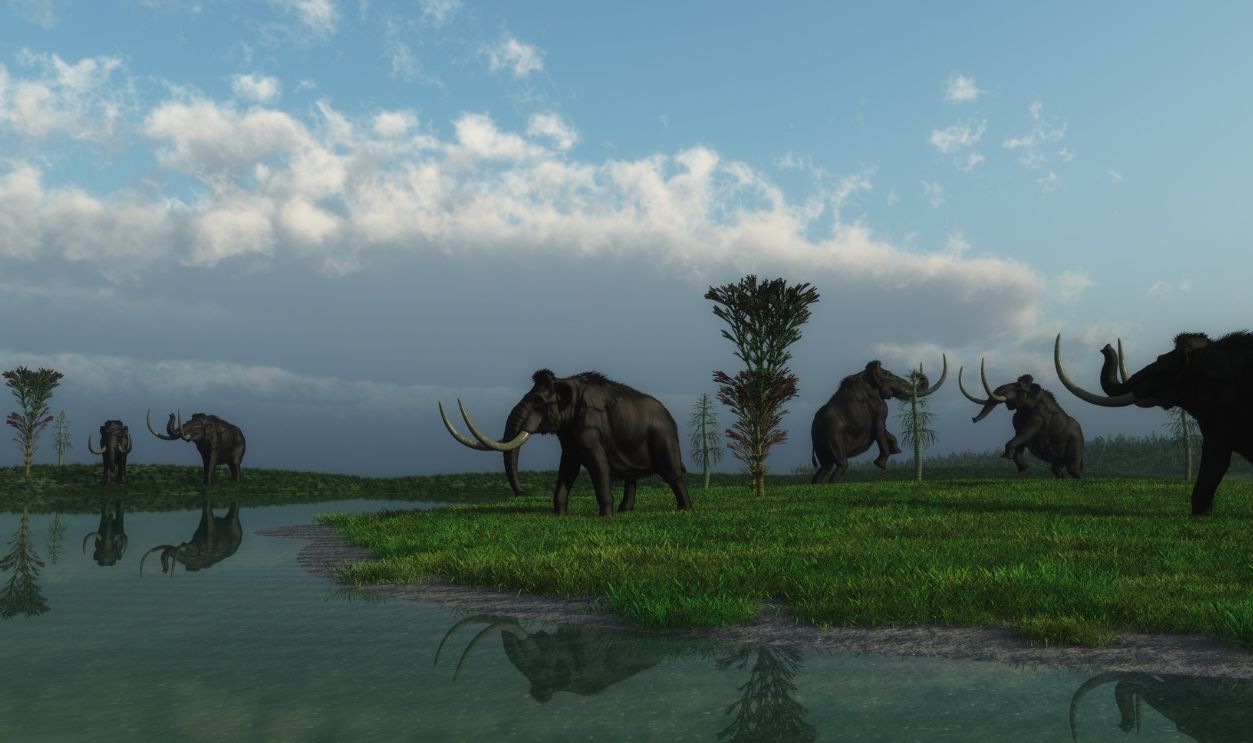 Mammoth