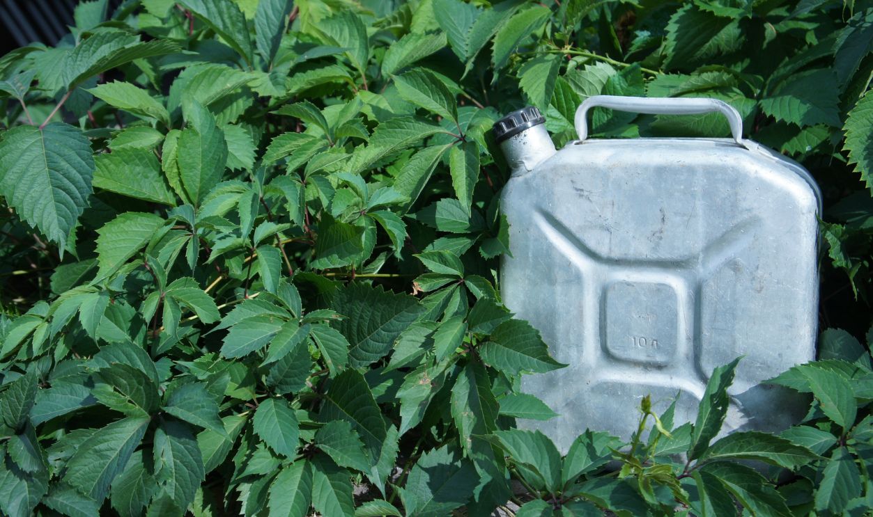 Aluminum can with gasoline in the grass. Biodiesel. Environmental protection. Ecology
