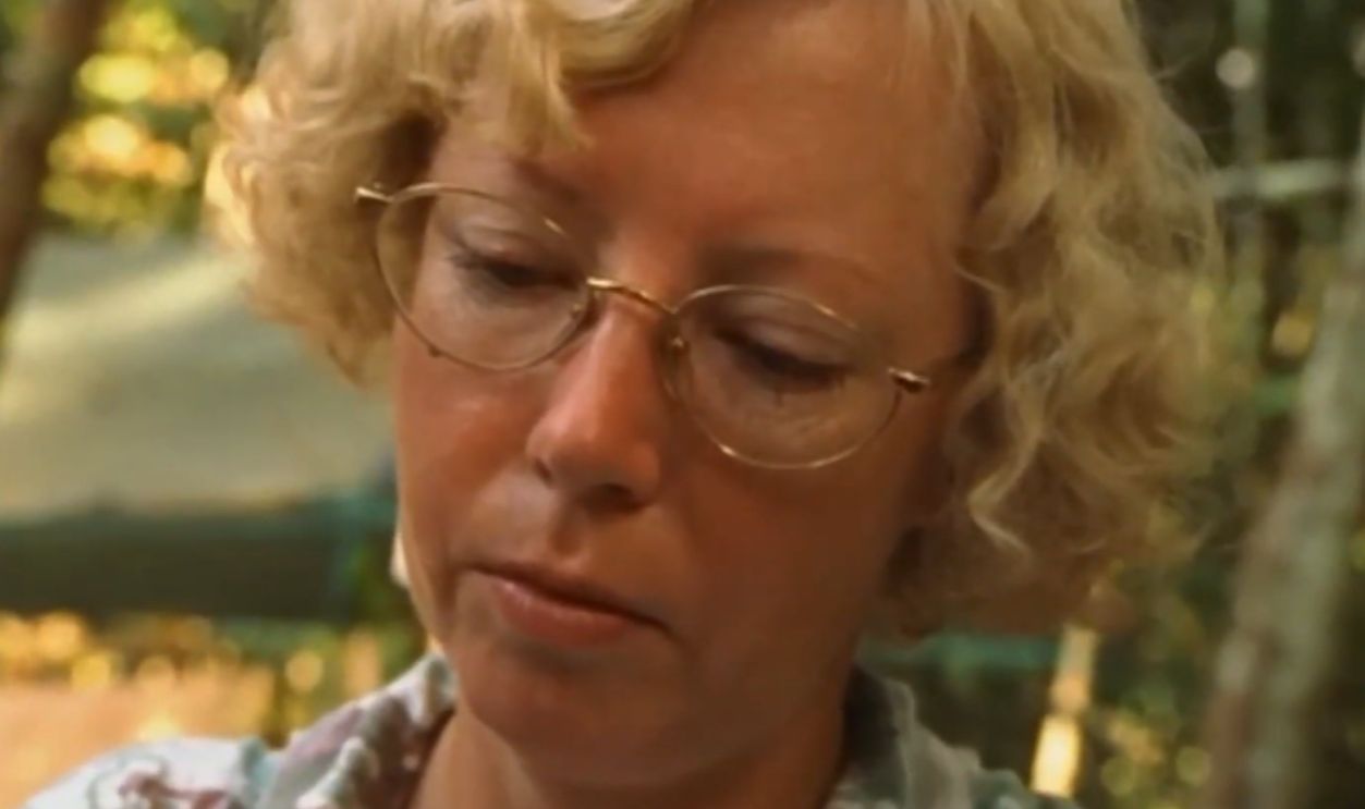 Screenshot from Wings of Hope (1998)