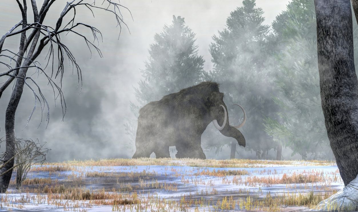 Mammoth
