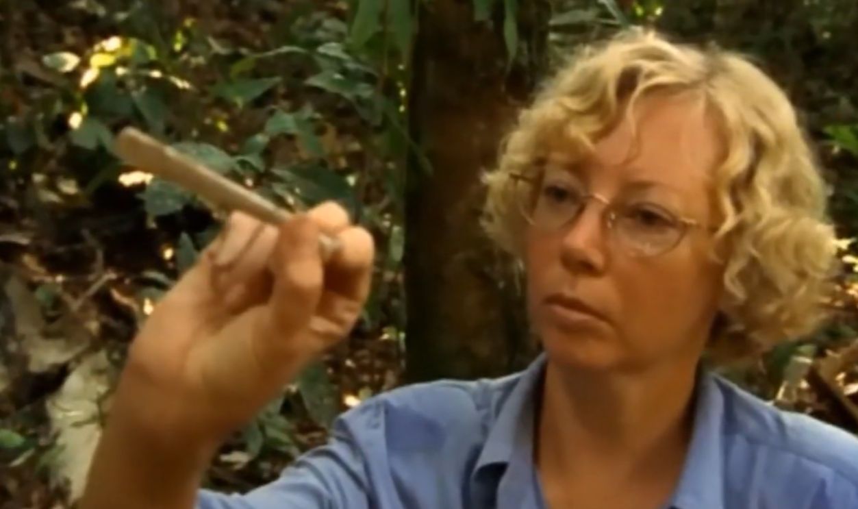 Screenshot from Wings of Hope (1998)