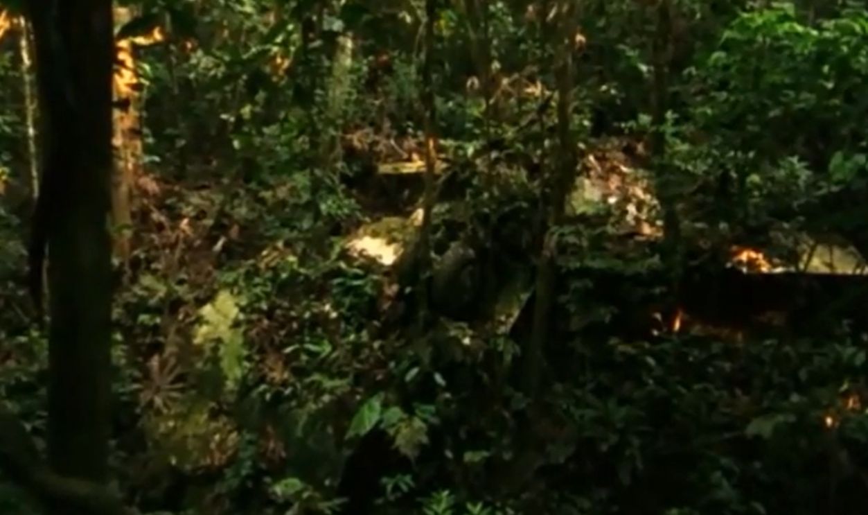 Screenshot from Wings of Hope (1998)