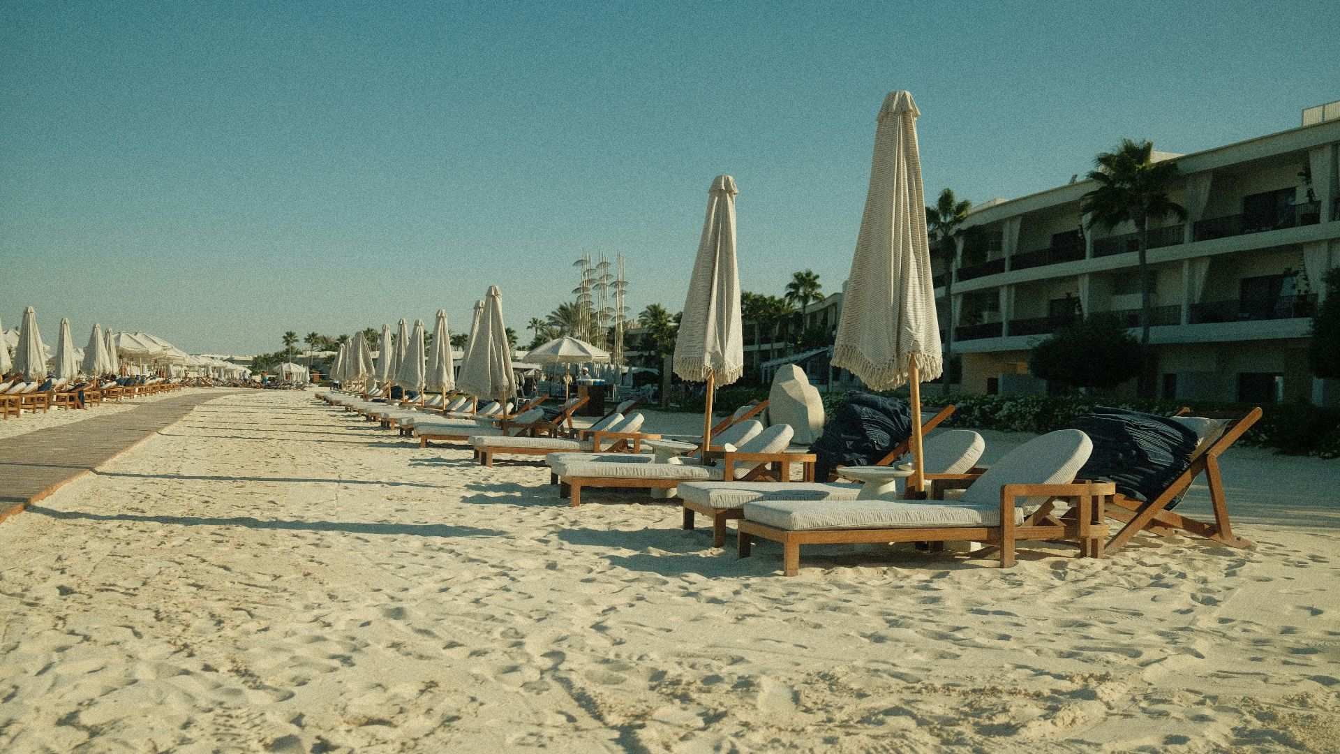 Beach chairs and umbrellas on a sandy beach