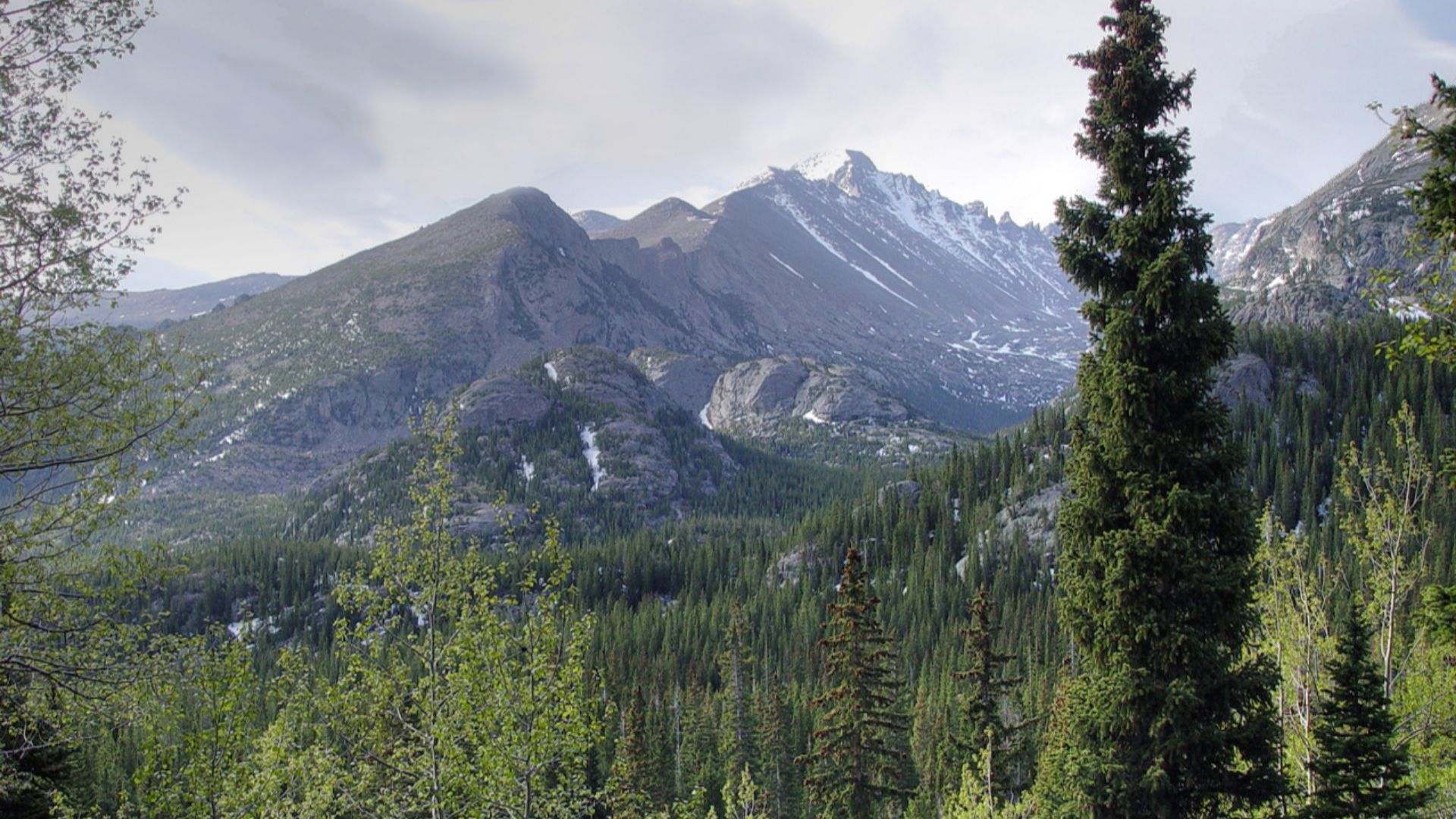 Longs Peak from Dream Lake Trail