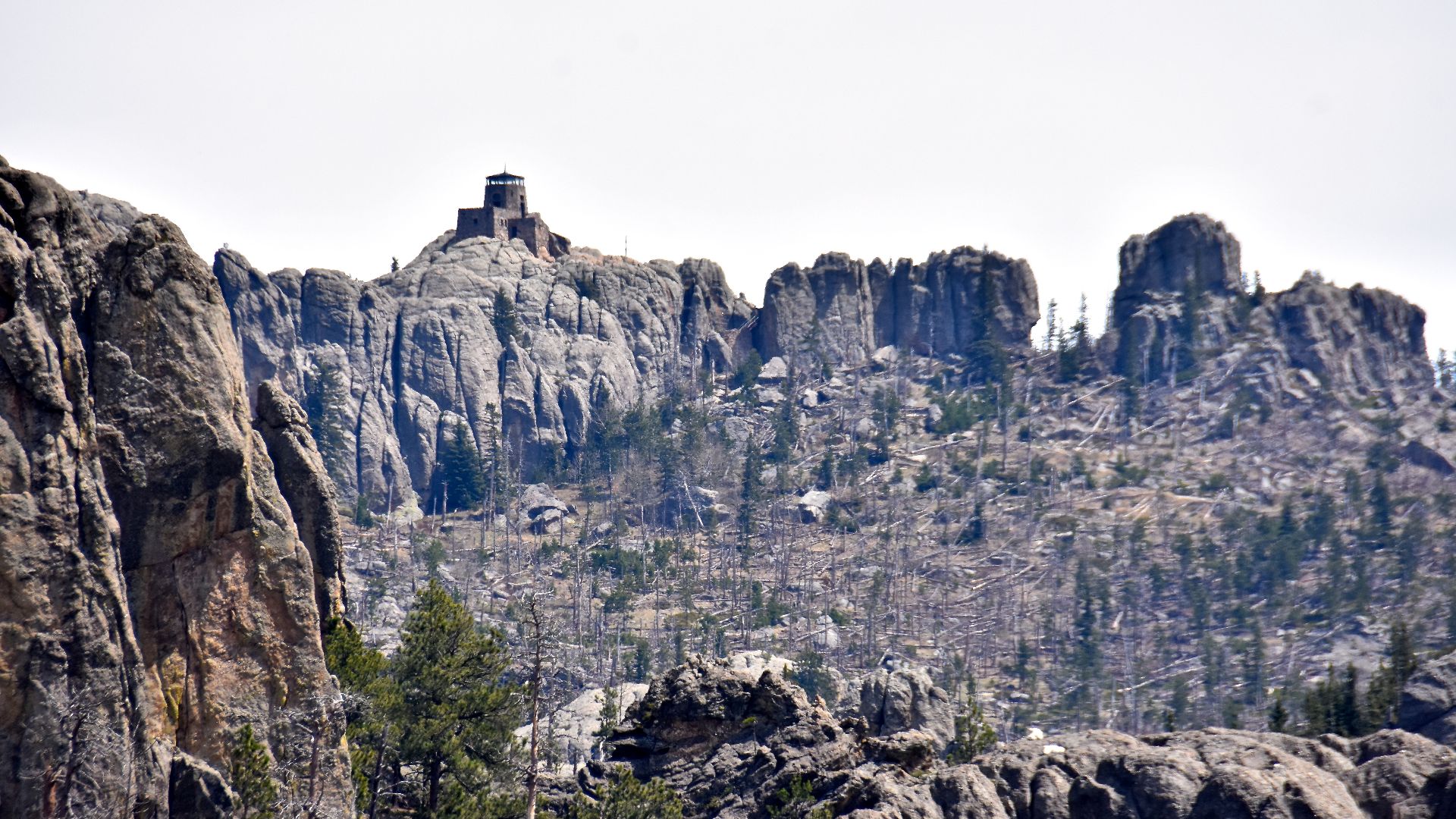 Black Elk Peak is the highest point in South Dakota. Note the fire tower at the summit.