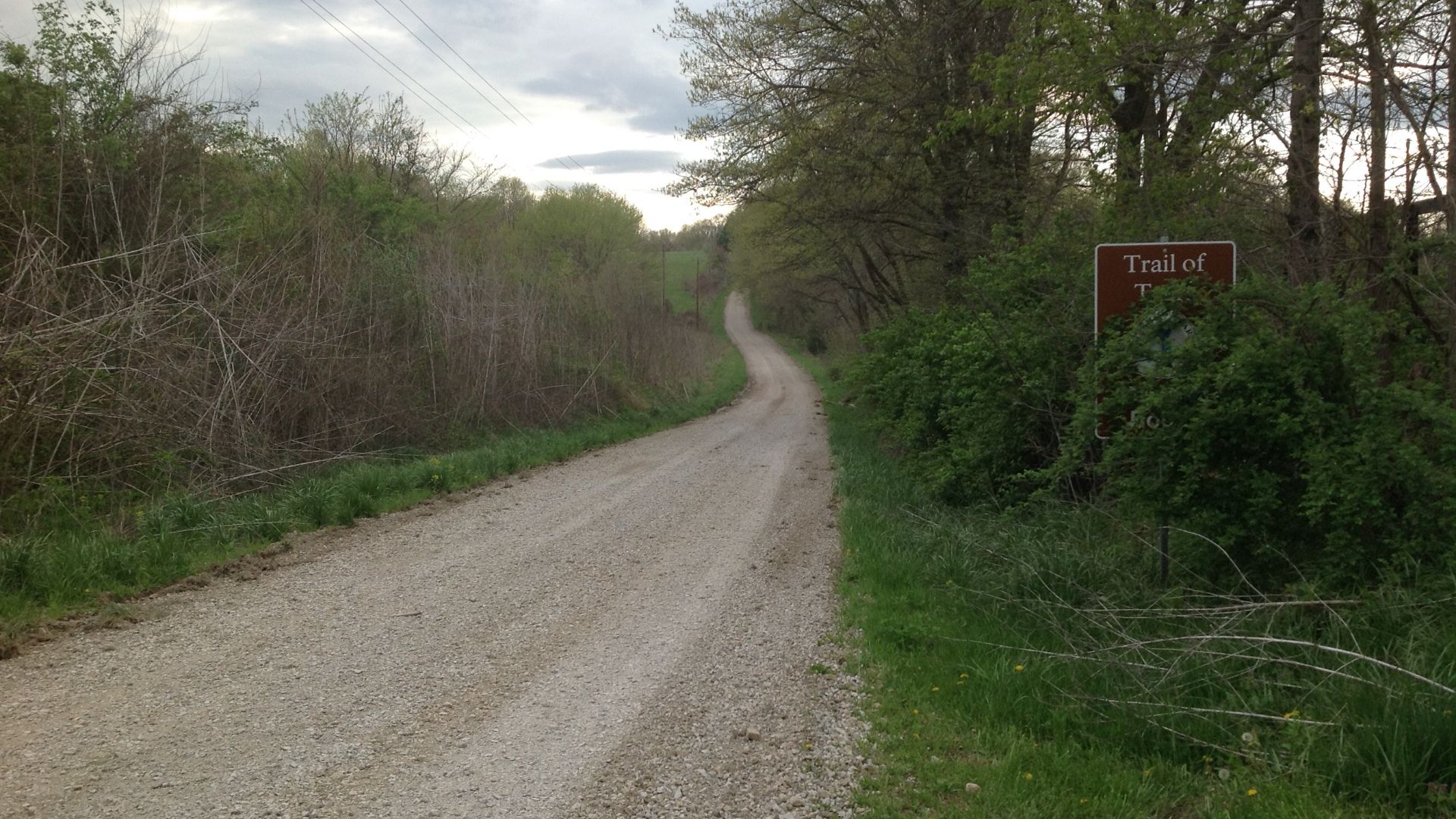 An NTIR Sign surrounded by brush at the Timber Road segment of the Trail of Tears National Historic Trail in Union County, Illinois
Keywords: trte; trail of tears national historic trail; nht; national historic trail; illinois; union county; facilities; s
