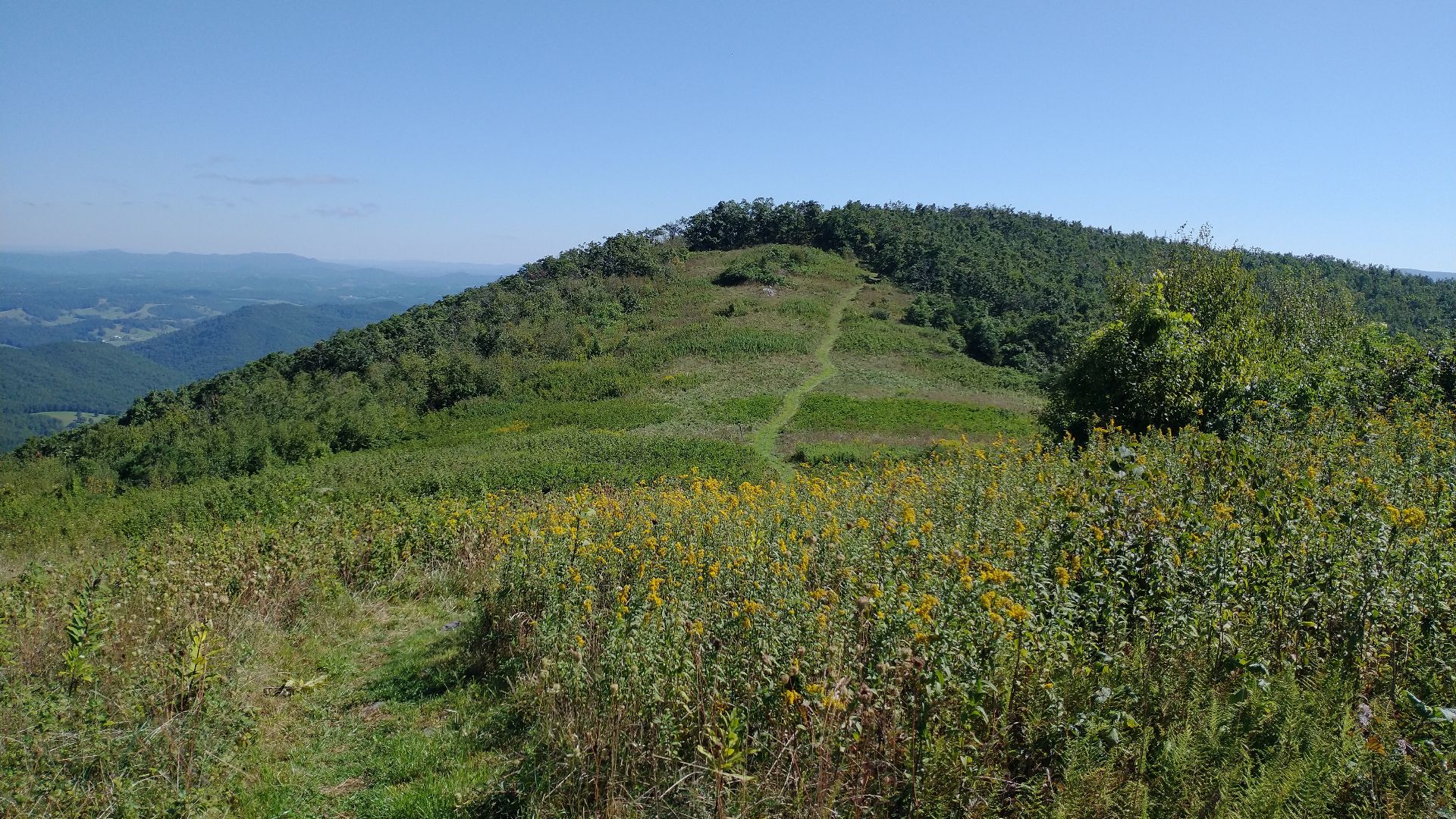 View of the Appalachian Trail at the top of Peter's Mountain on the border of Virginia and West Virginia.