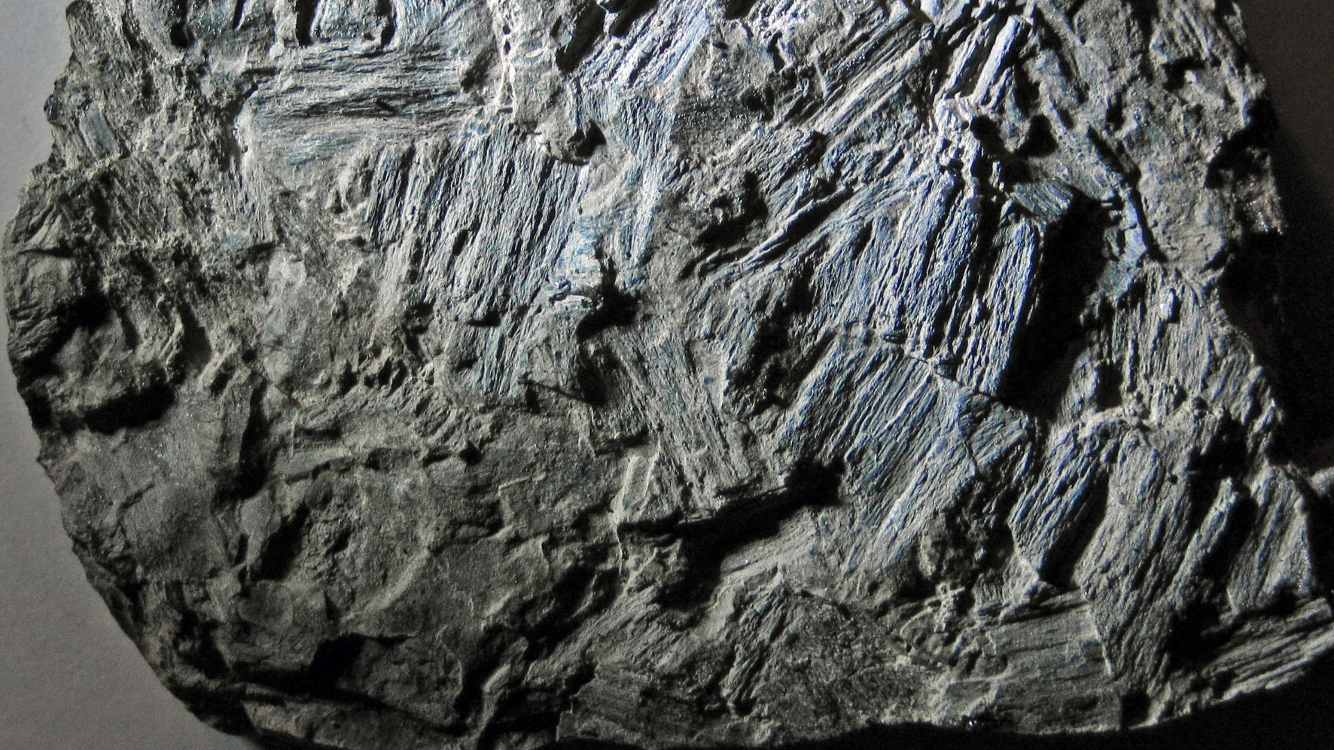 Fossil charcoal in weathered coal from the Pennsylvanian of Ohio, USA. (~6.4 cm across at its widest)
This rock is from the Pottsville Group, a Pennsylvanian-aged cyclothemic succession containing nonmarine shales, marine shales, siltstones, sandstones, c