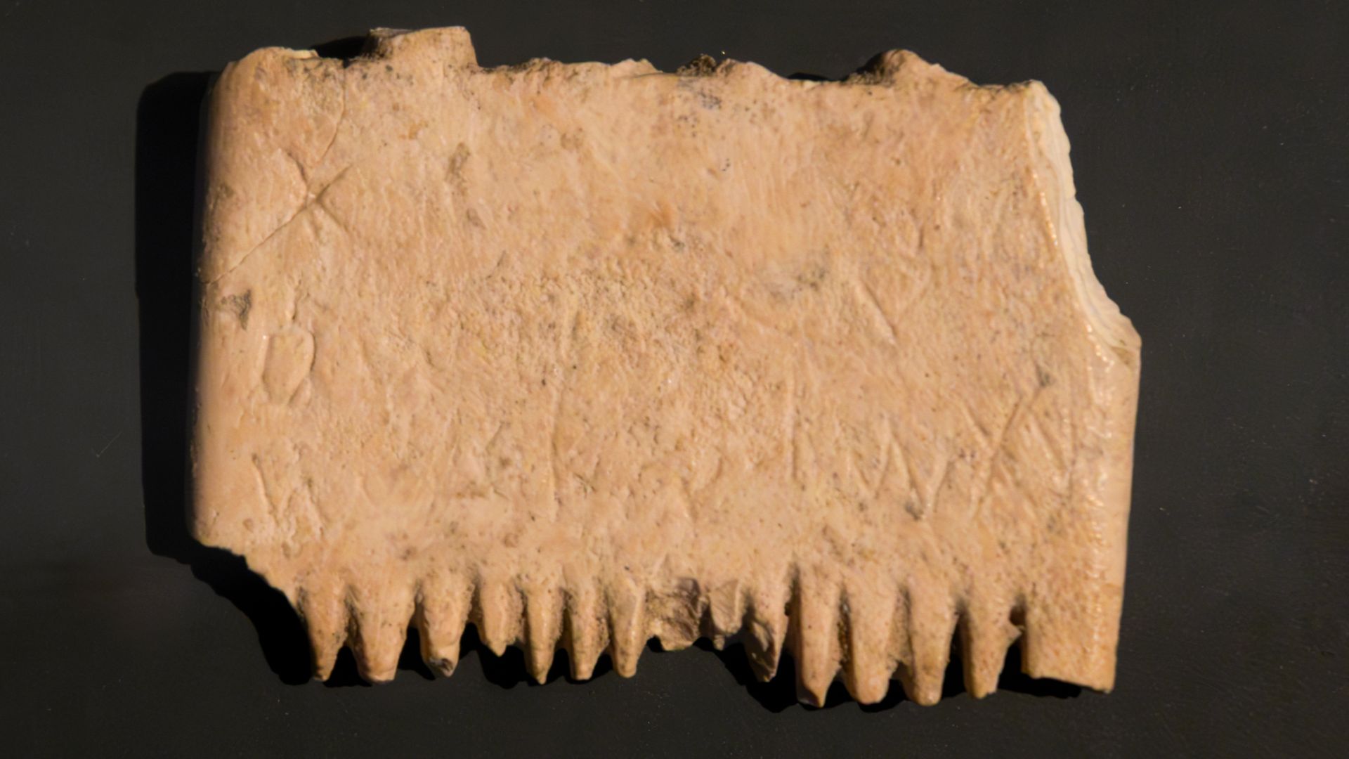 An ivory comb that was discovered in Lachish, and bears a mid to late bronze age inscription that expresses the holder's wish to eradicate lice. The inscription contains the earliest known complete sentence written in a phonetic alphabet, although some re