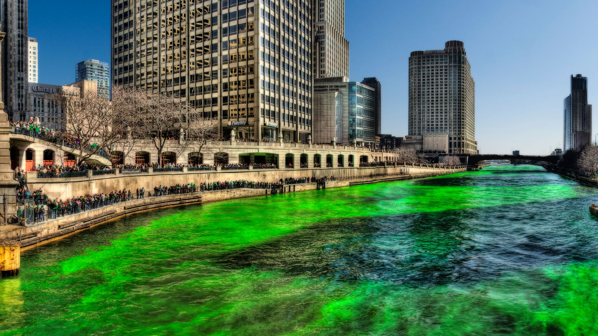 File:Green Chicago River on Saint Patricks Day 2009.jpg