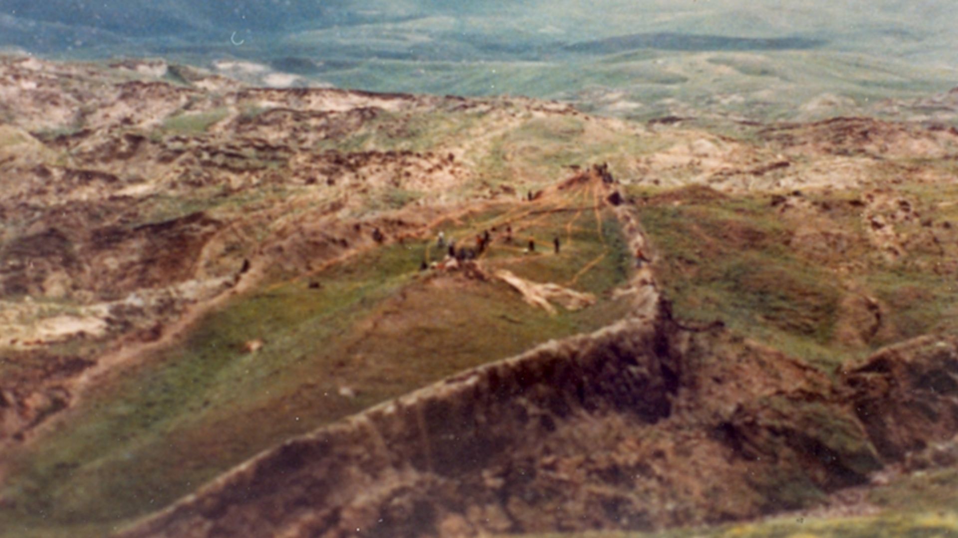 File:Ark structure.jpg