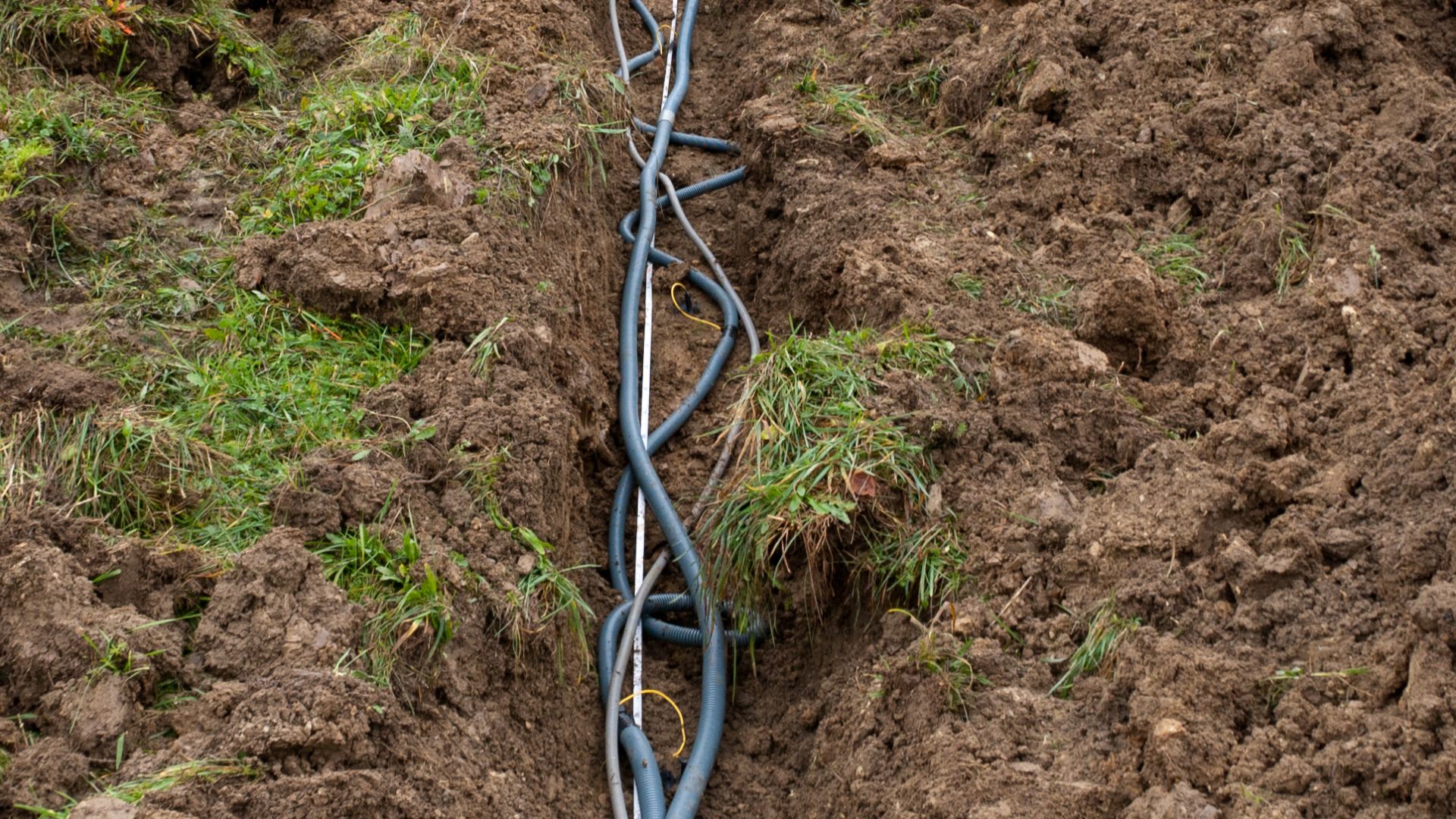 File:Electrical resistivity tomography profile.jpg