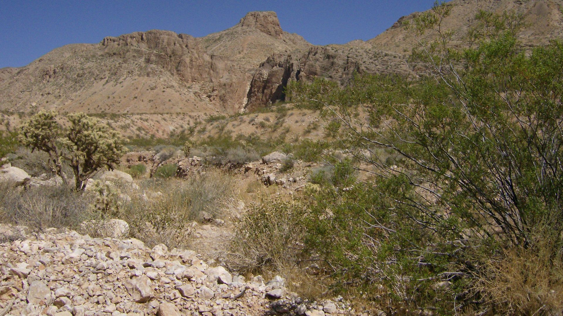 File:Desert Rocks - panoramio.jpg