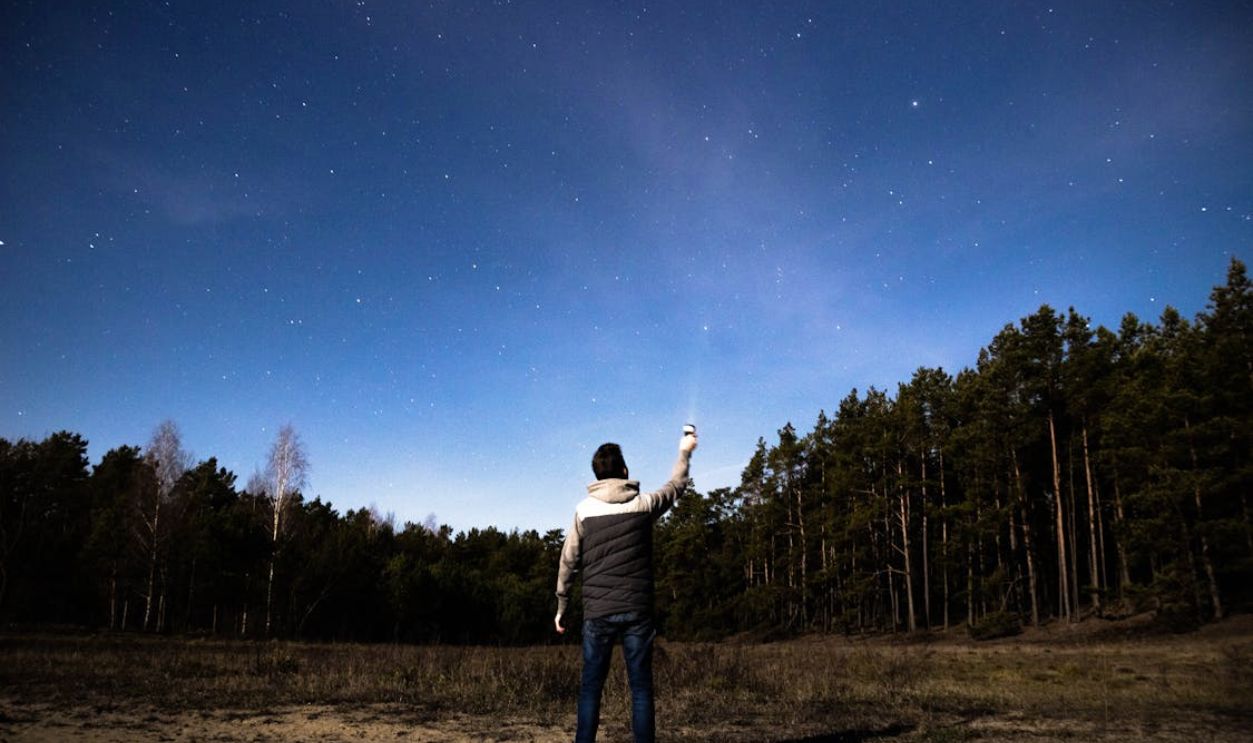 Back View of a Man Looking to the Sky