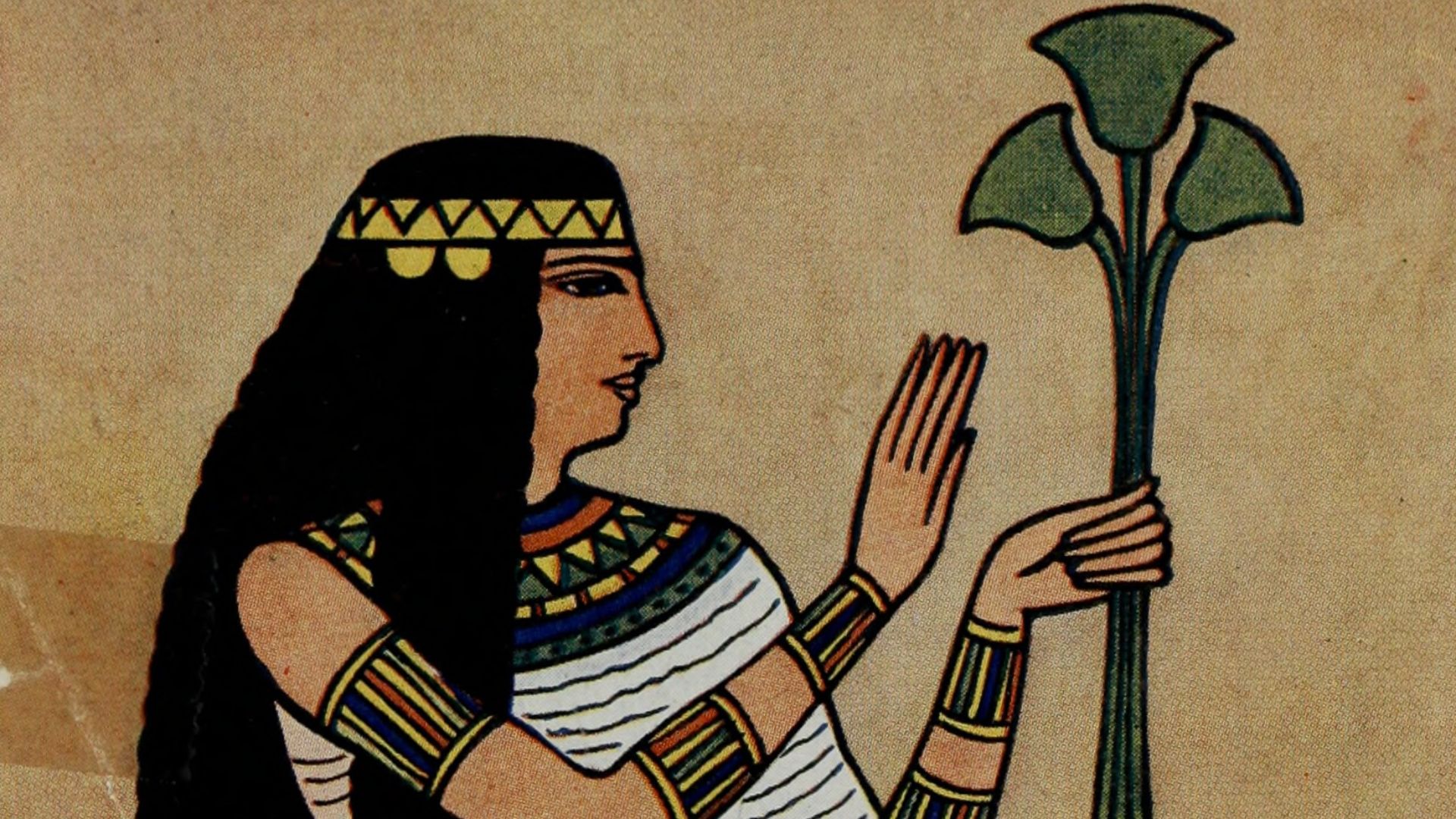 File:Ancient Egyptian, Assyrian, and Persian costumes and decorations (1920) (14761789471).jpg