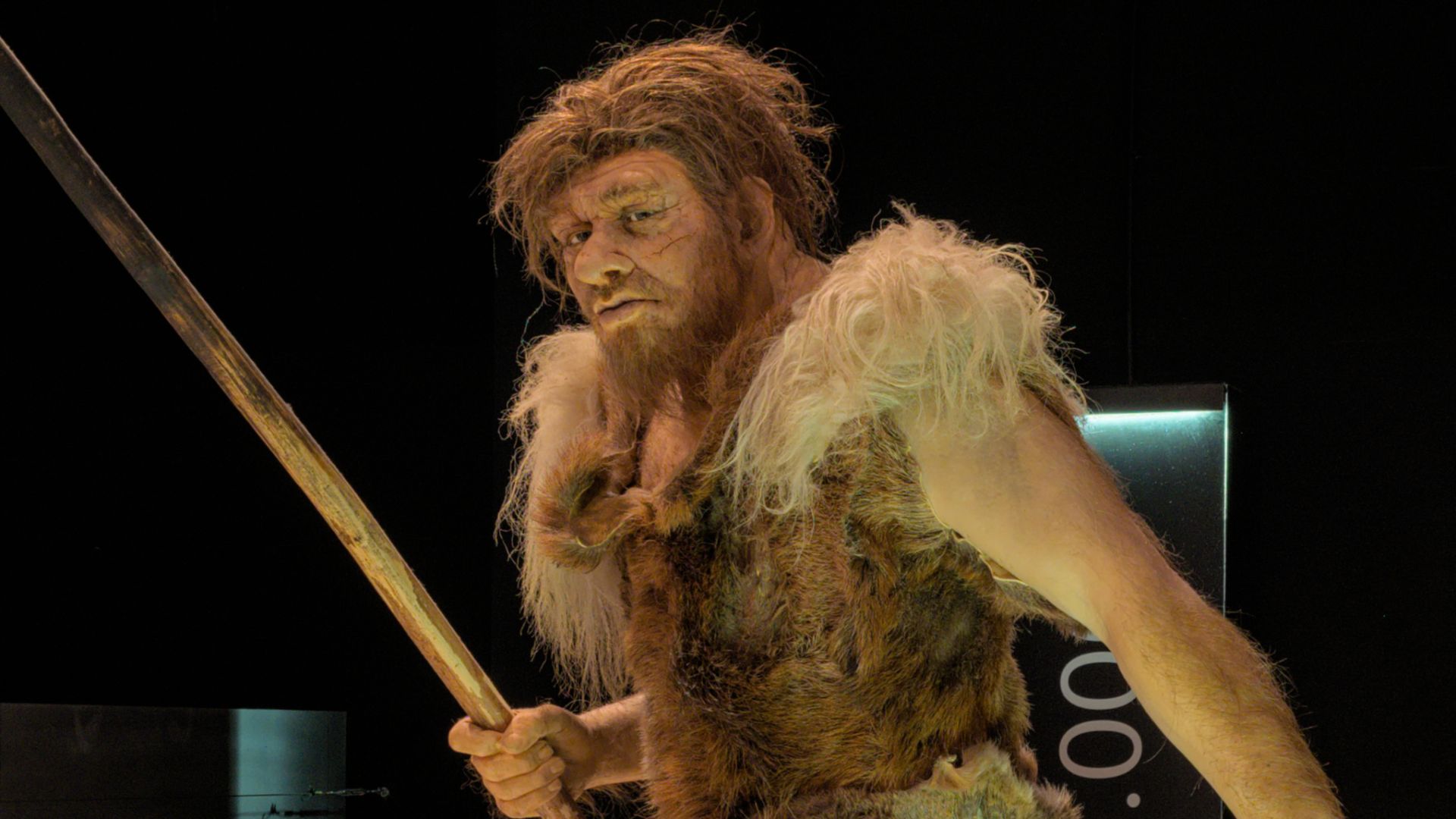 File:Neanderthal hunters depicted in the Gallo-Romeins Museum Tongeren (DSCF4334).jpg