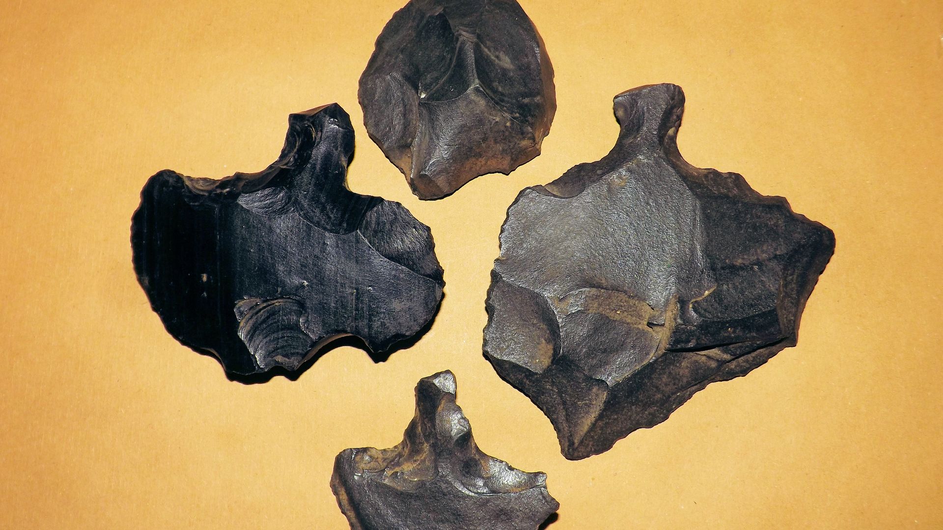 File:Rapa Nui Mata'a - Obsidian 'Spear Points' 01.png