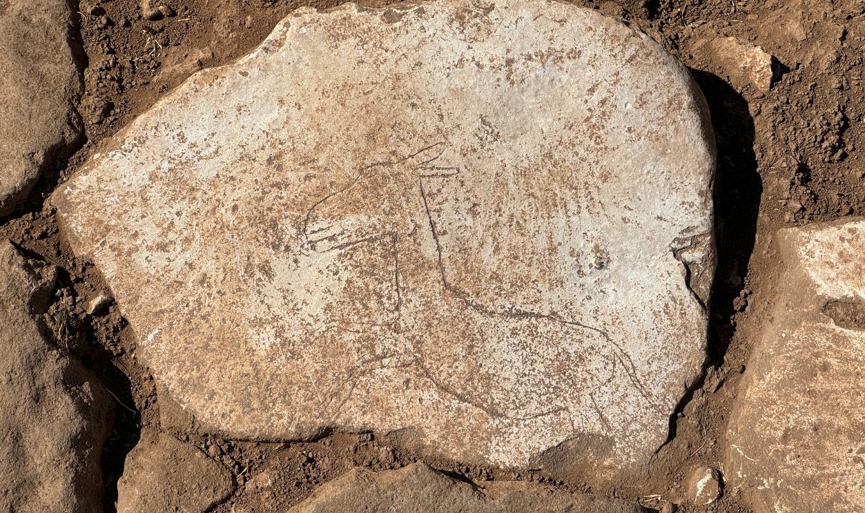 2168758368 Running Wild Donkey'' discovered at Turkiye's Karahantepe