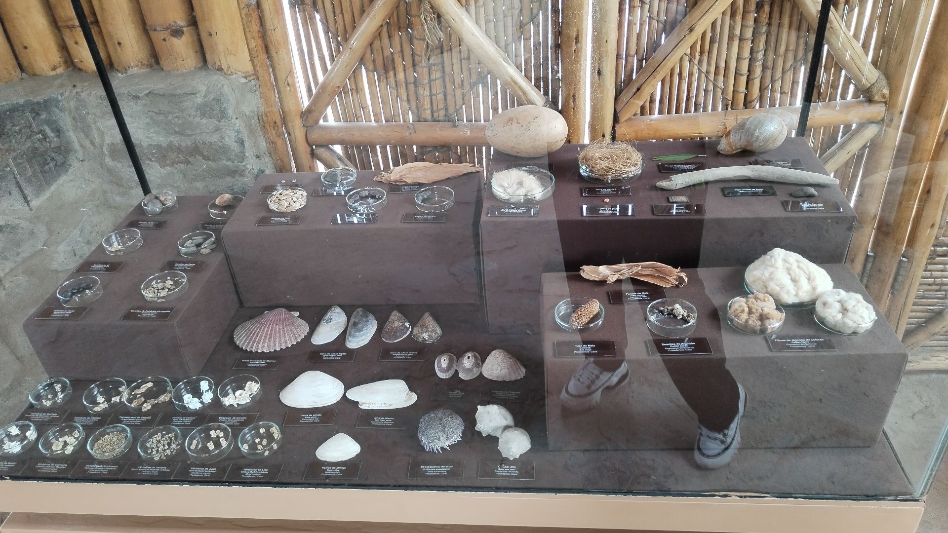 File:Elementos encontrados en la ciudadela de Caral 01.jpg