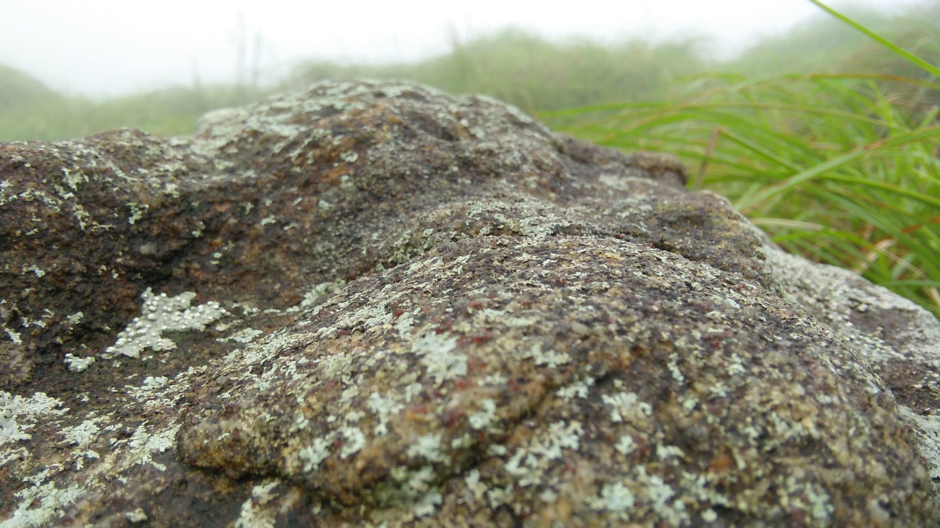 File:Wet rock.jpg