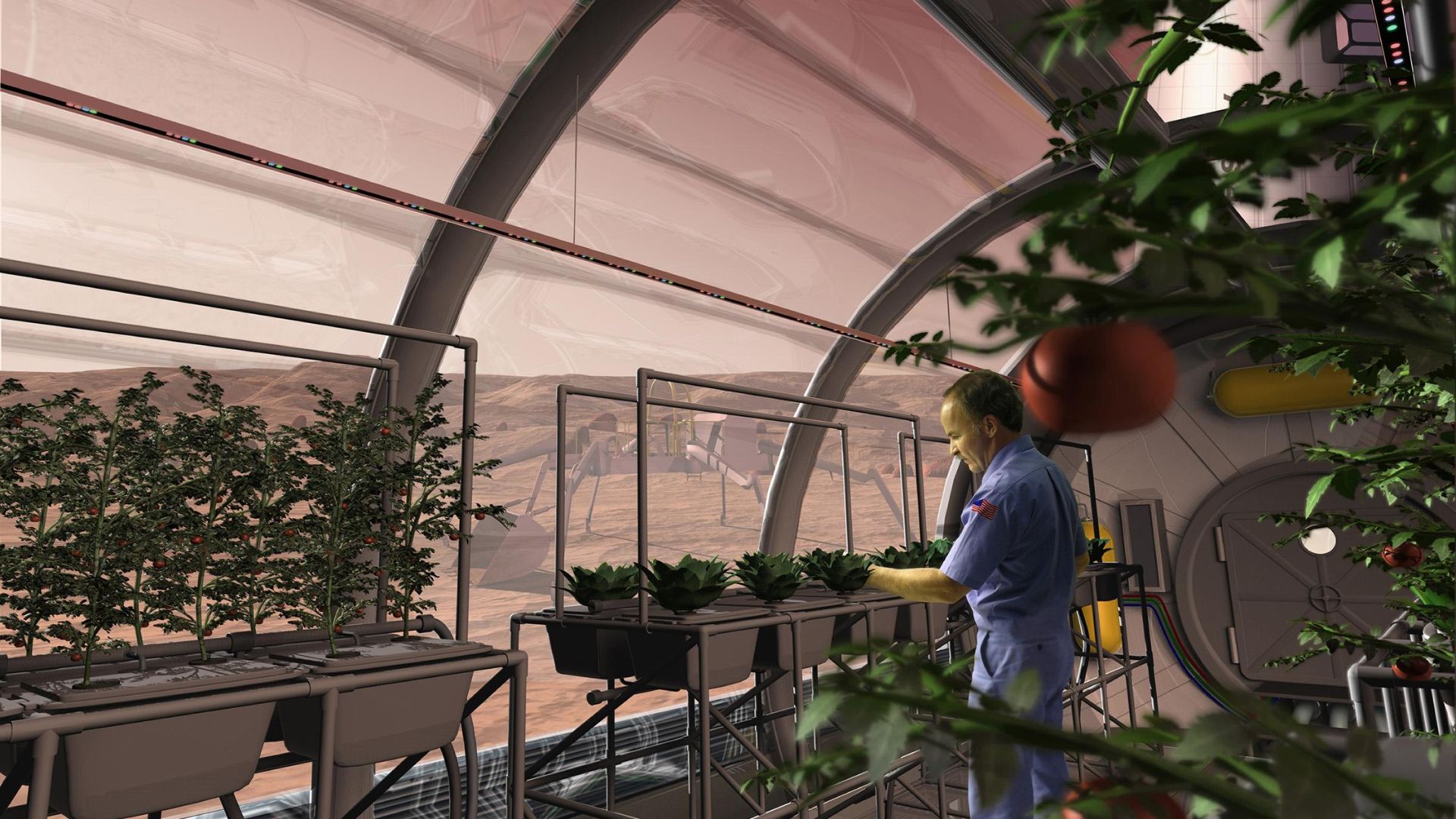 File:Mars Greenhouse.jpg