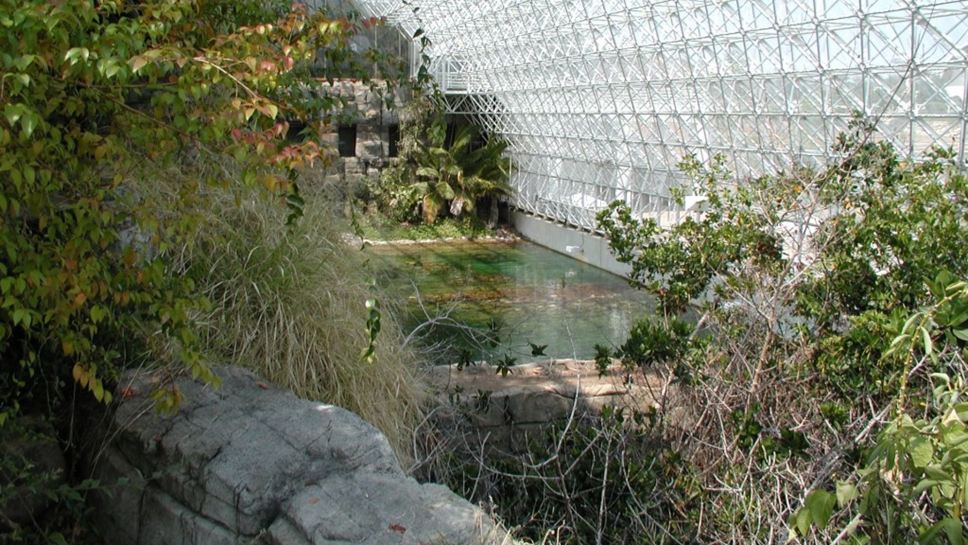 File:Biosphere2 Inside big.jpg