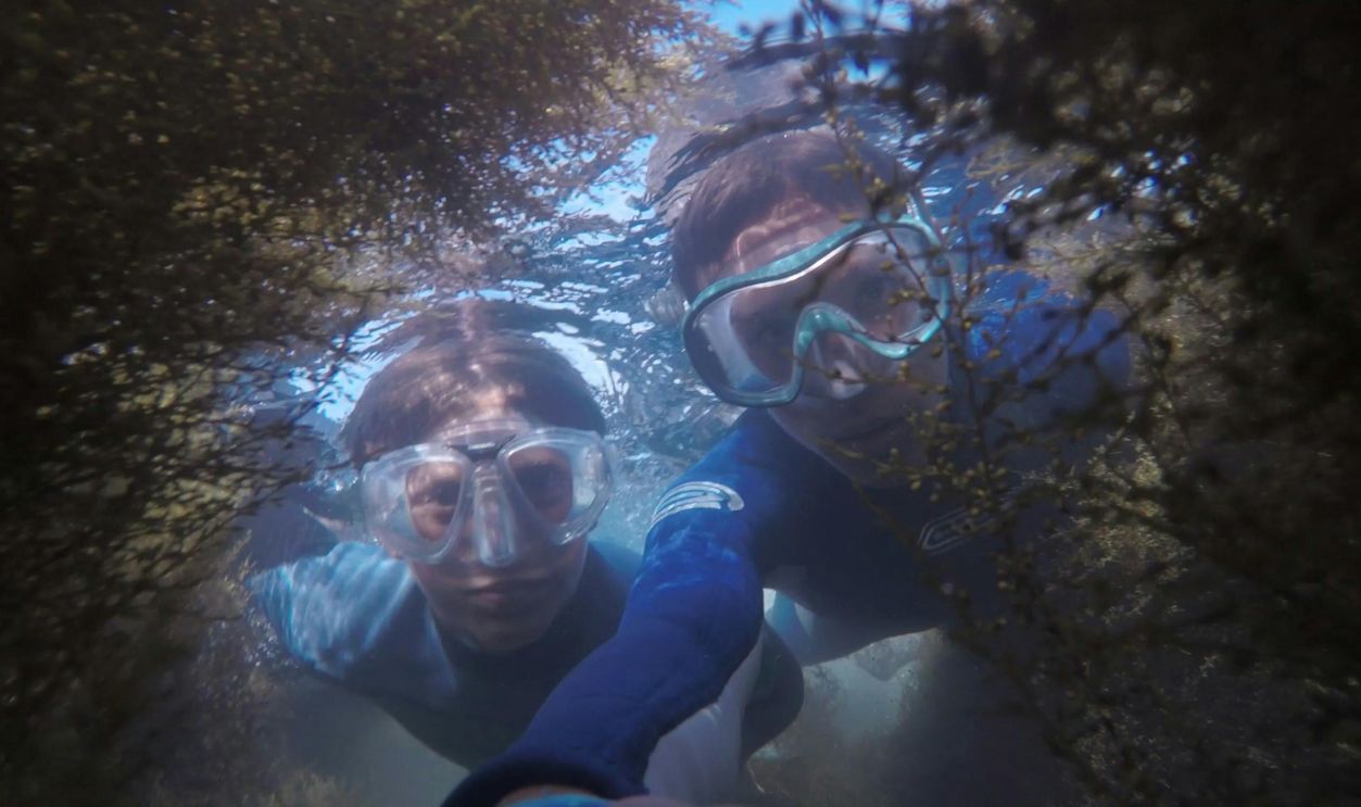 Two people Snorkeling