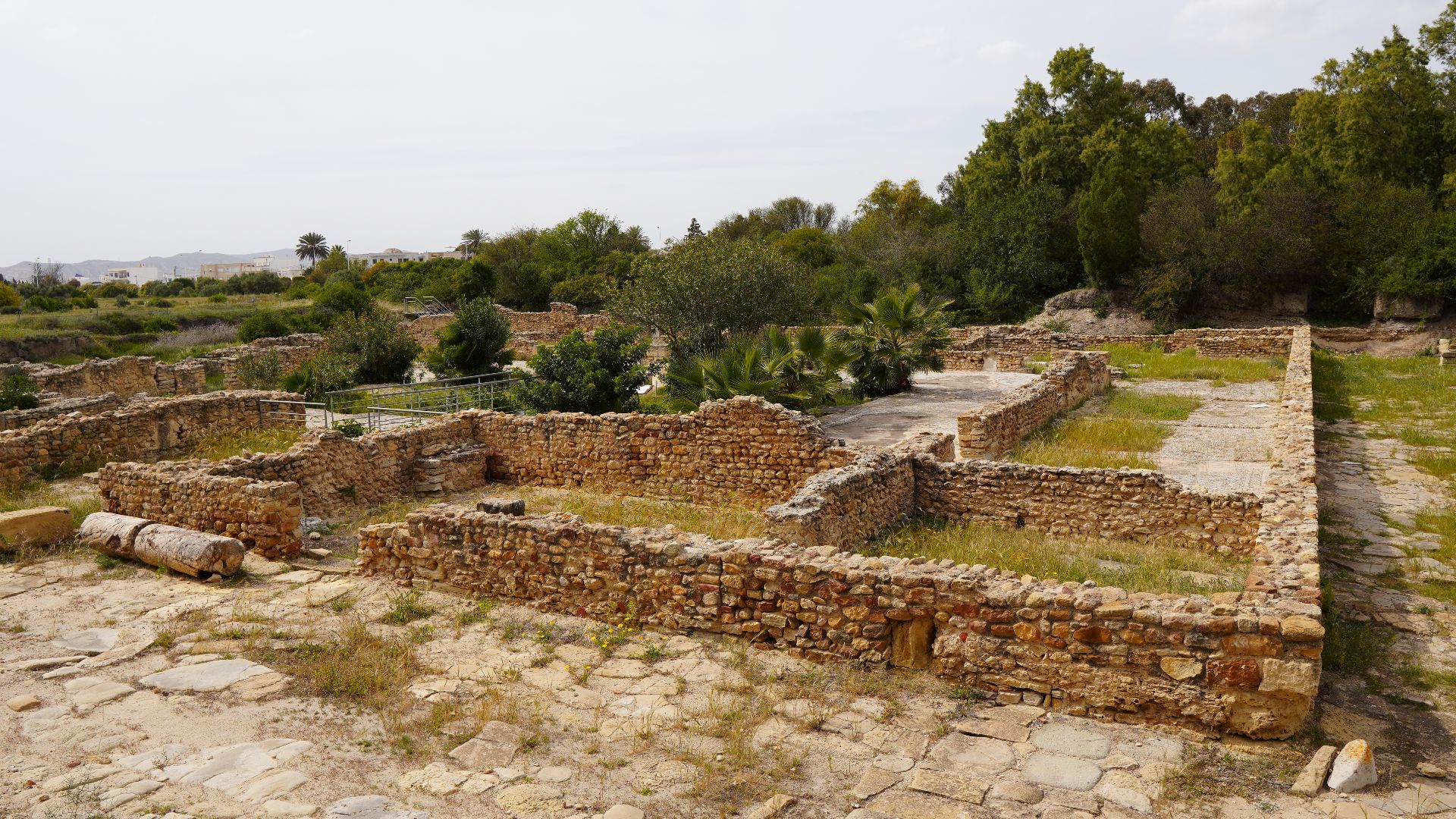 File:Site de Néapolis, 13 avril 2023, ZVE02795.jpg