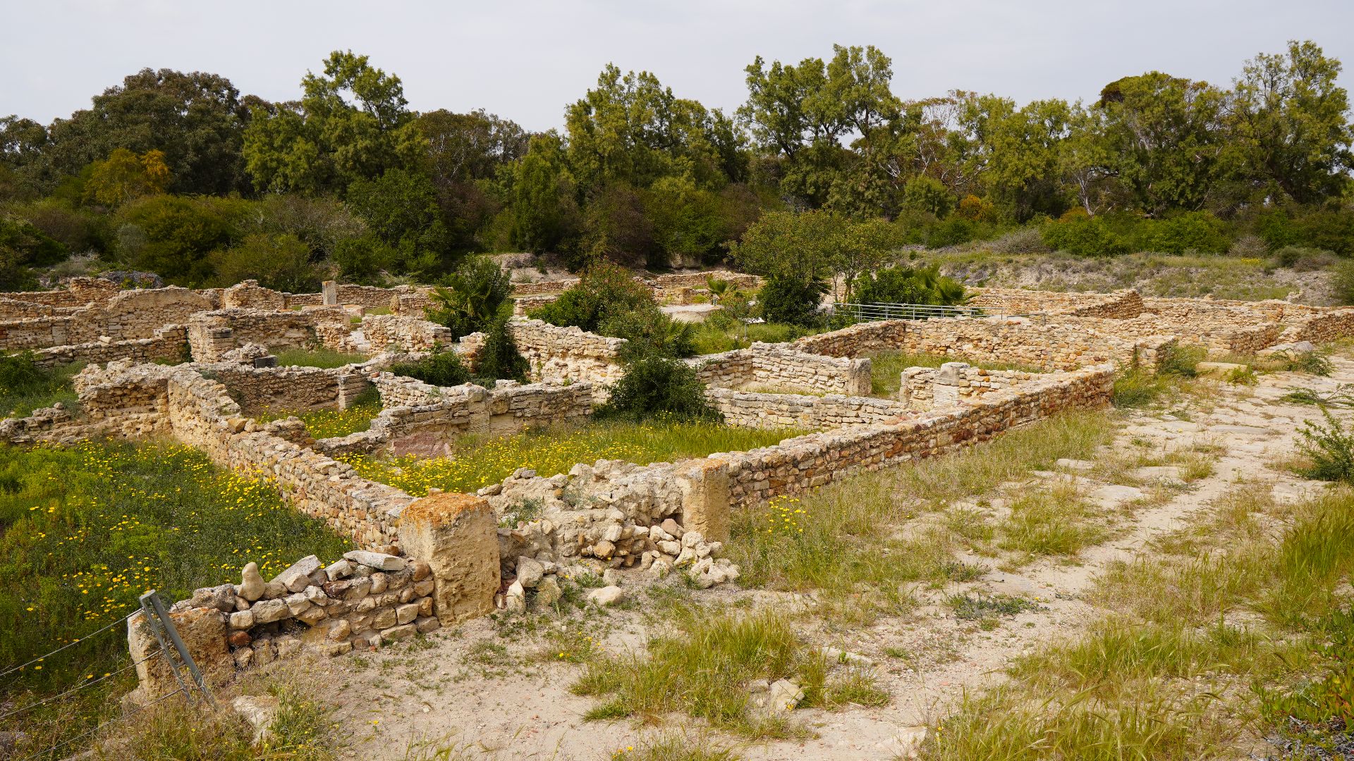 File:Site de Néapolis, 13 avril 2023, ZVE02797.jpg