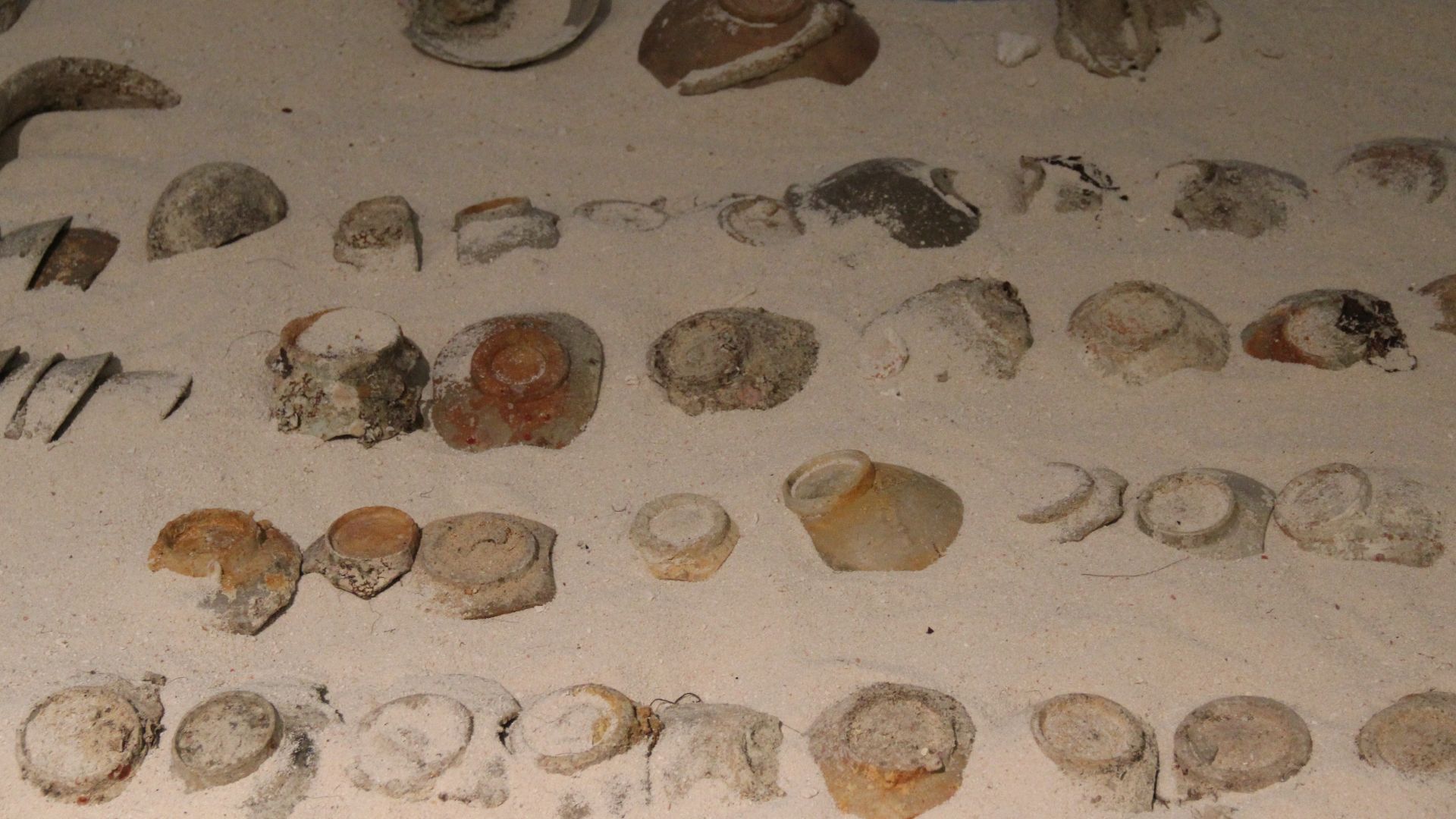 File:Shipwreck Porcelain (9847062896).jpg