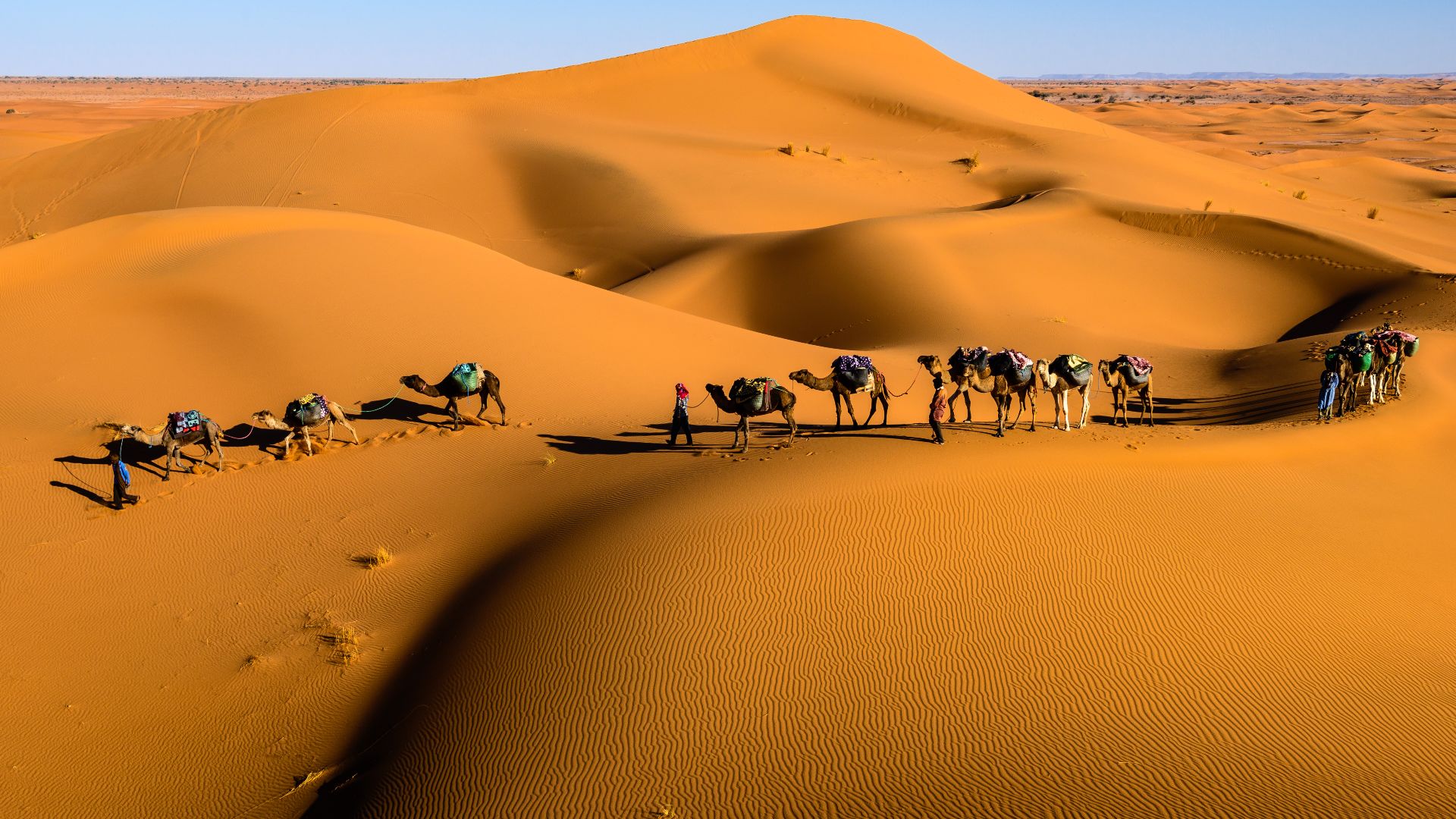 File:Caravan in the desert.jpg