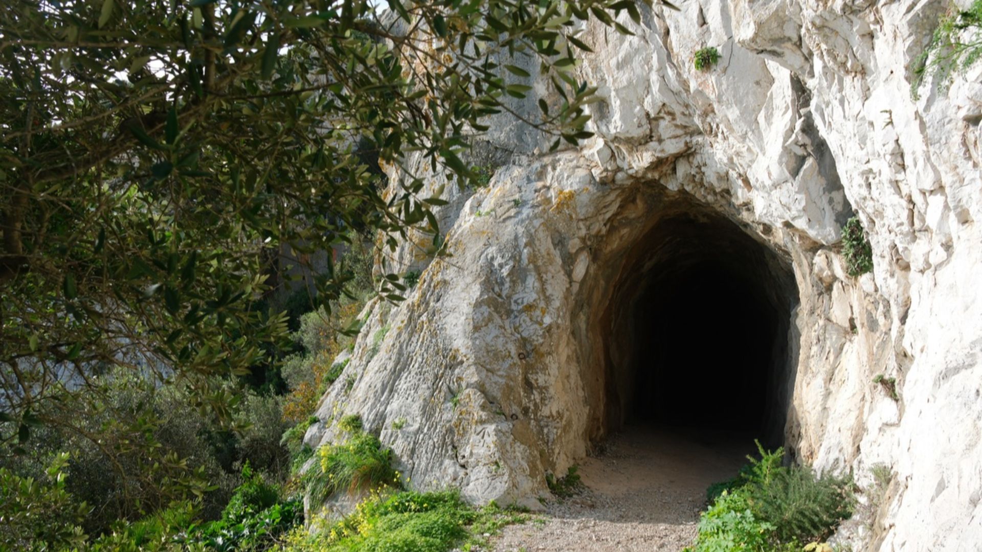File:Gibraltar Mediterranean Steps 17.jpg