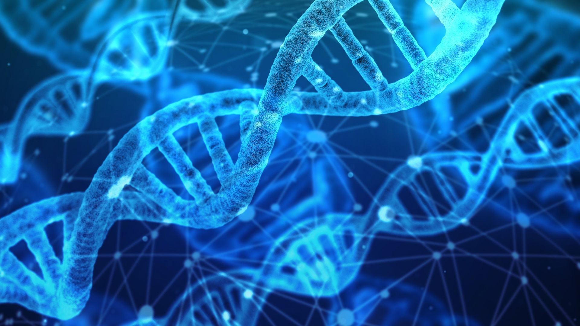 File:DNA strands.jpg