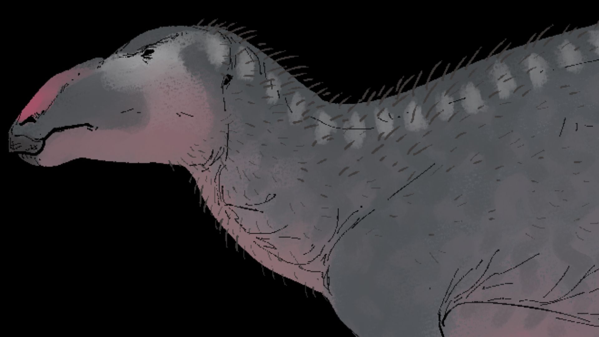 File:Haolong dongi.png