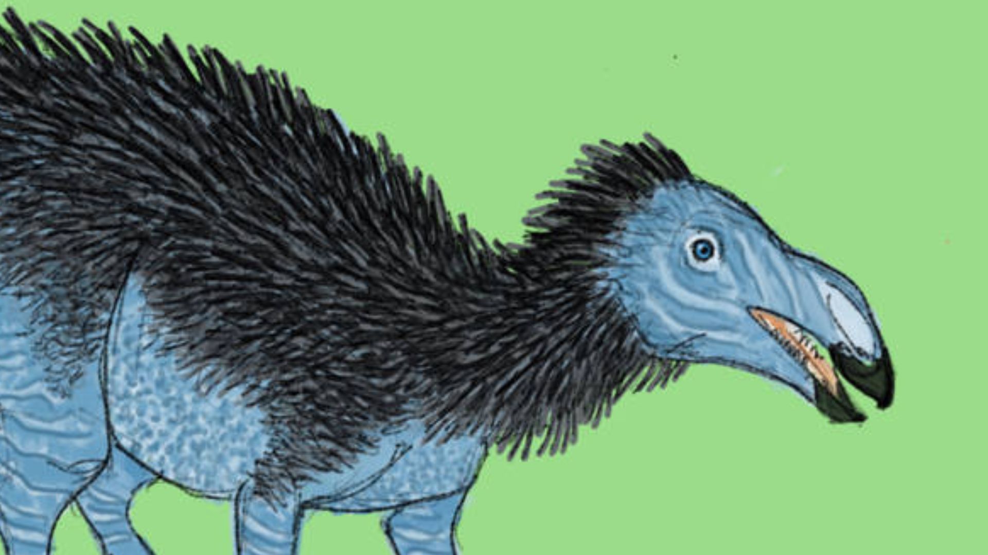 File:Haolong dongi illustration.jpg