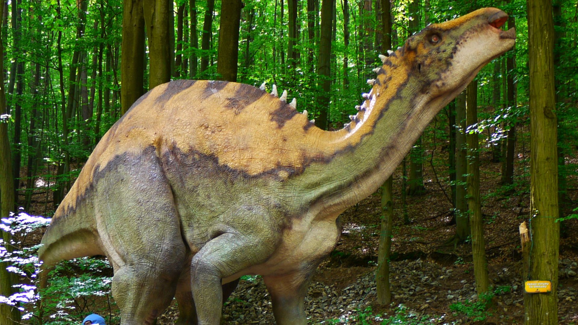 File:Iguanodon, DinoPark Košice.jpg