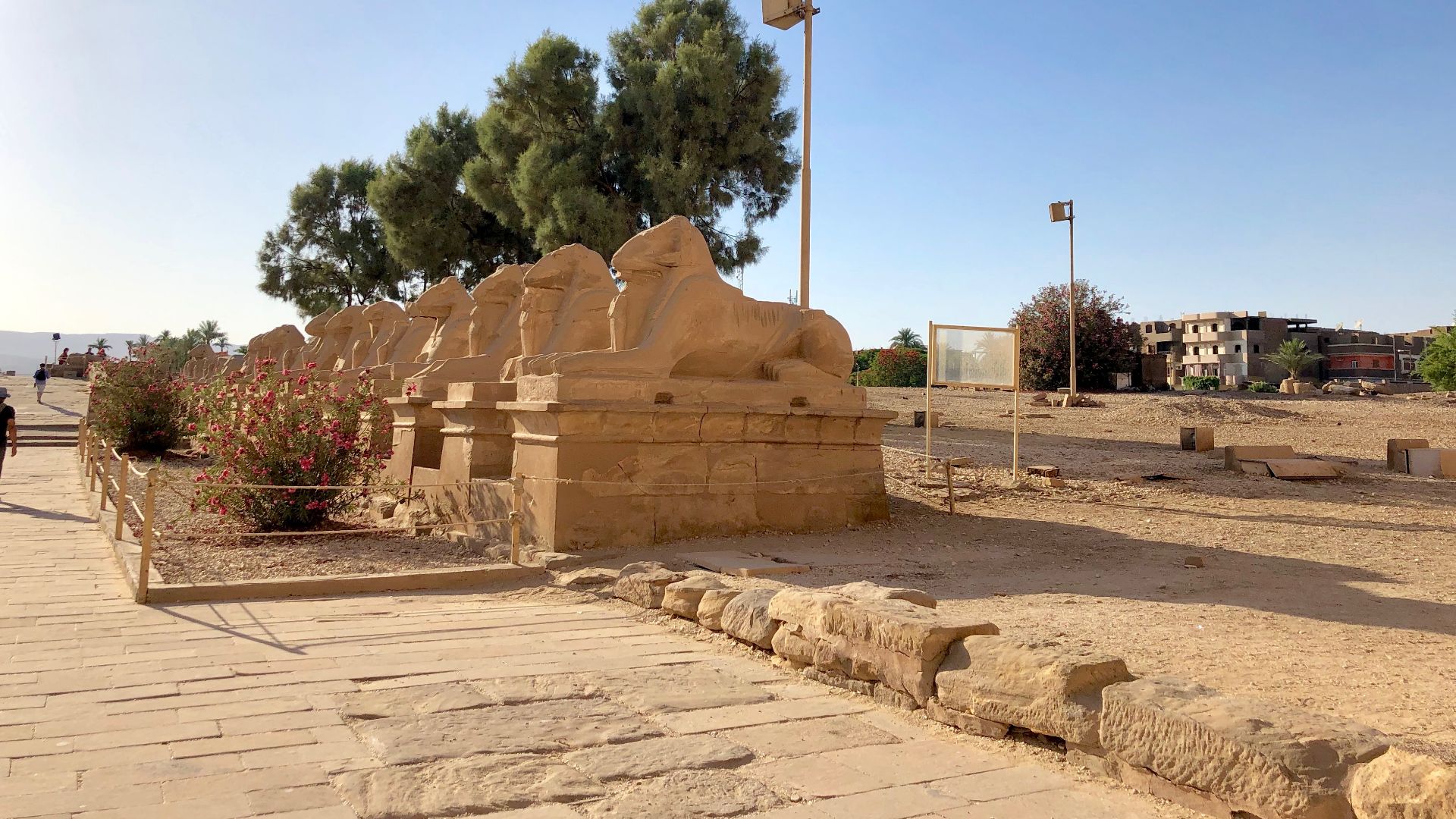 File:Allée des Sphinx, Karnak Temple, Luxor, LG, EGY (48009540177).jpg