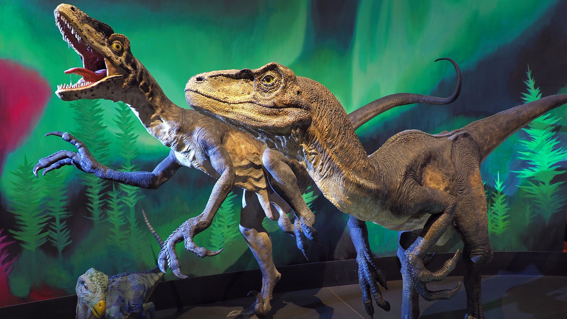 File:Deinonychus DL.jpg