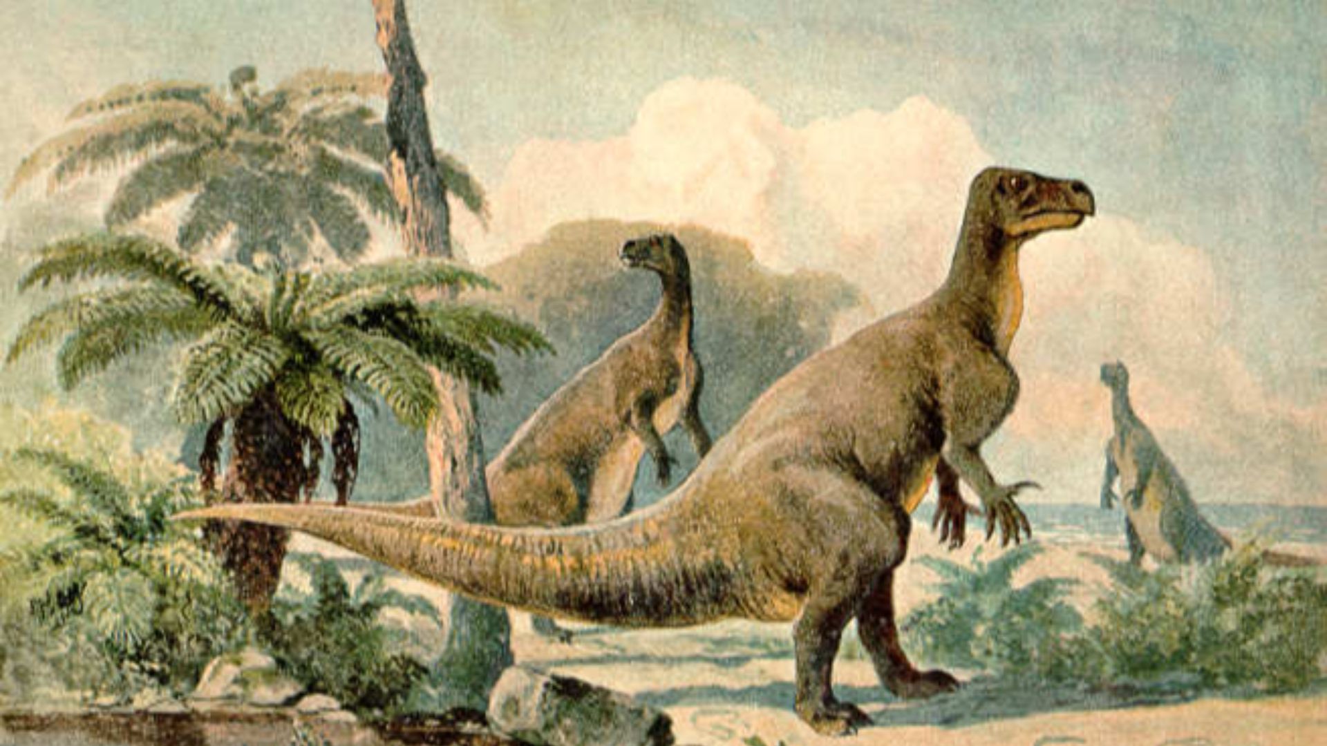 File:Iguanodon Heinrich Harder.jpg