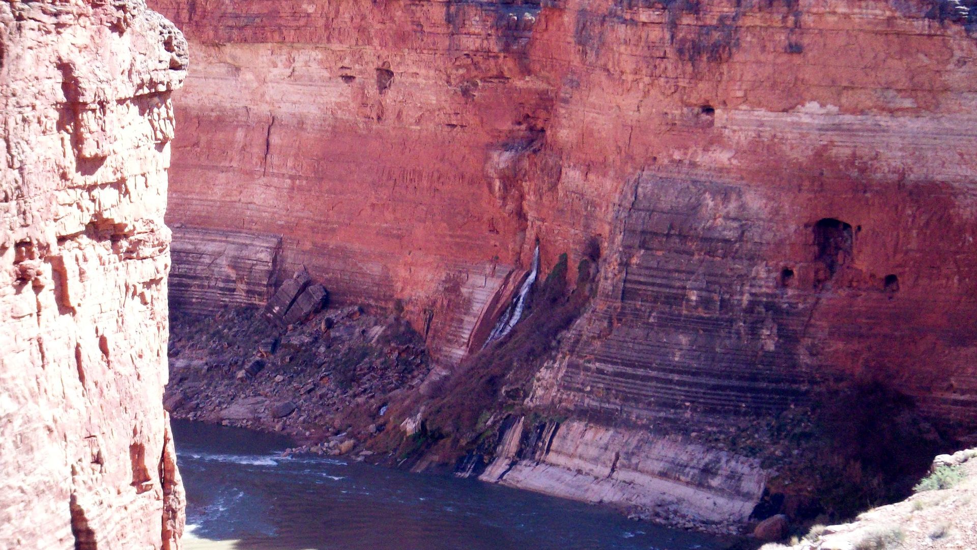 File:Vasey's Paradise1.JPG