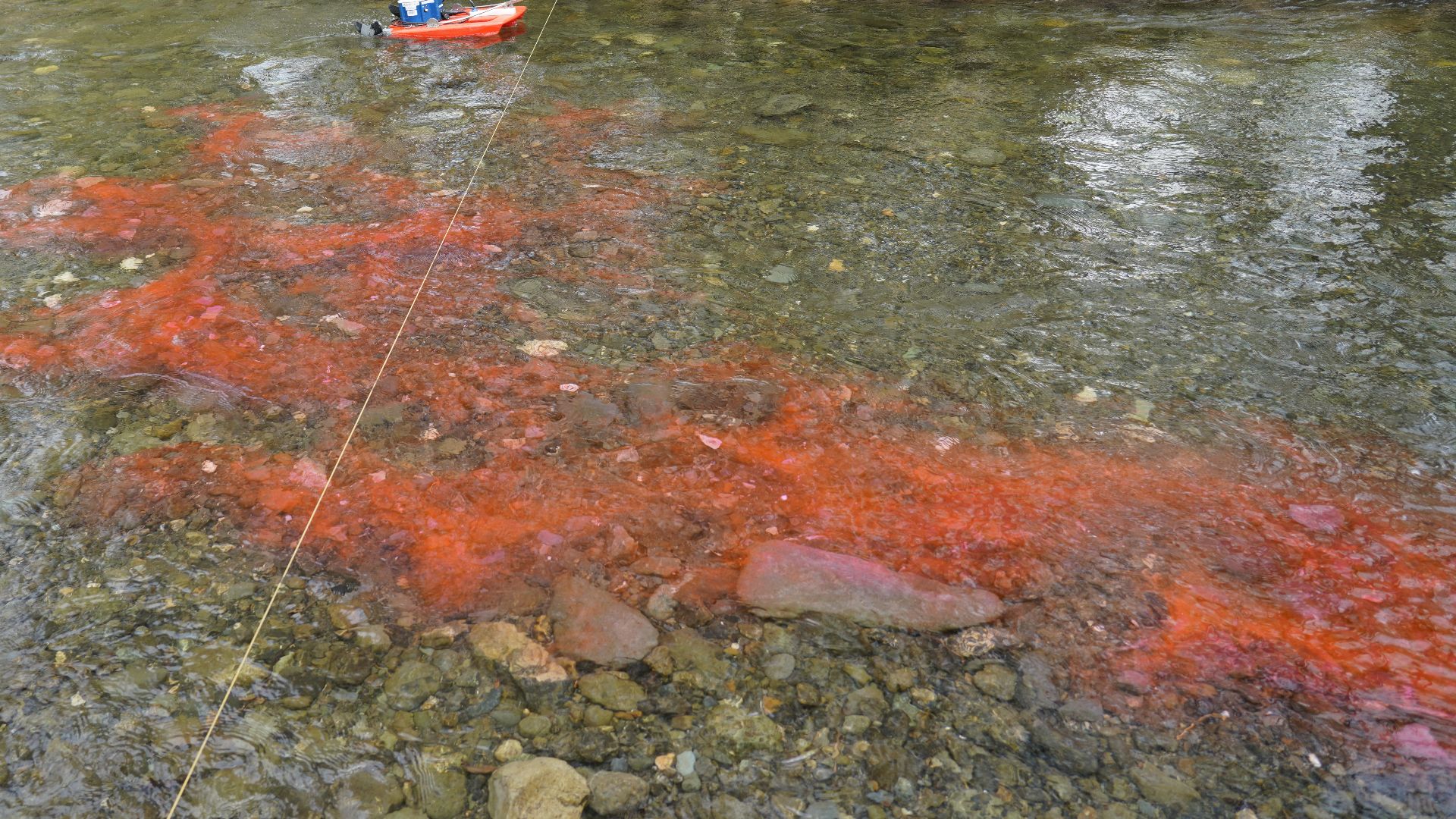 File:Campbell Creek Science Center's 45th annual outdoor week (46987010135).jpg