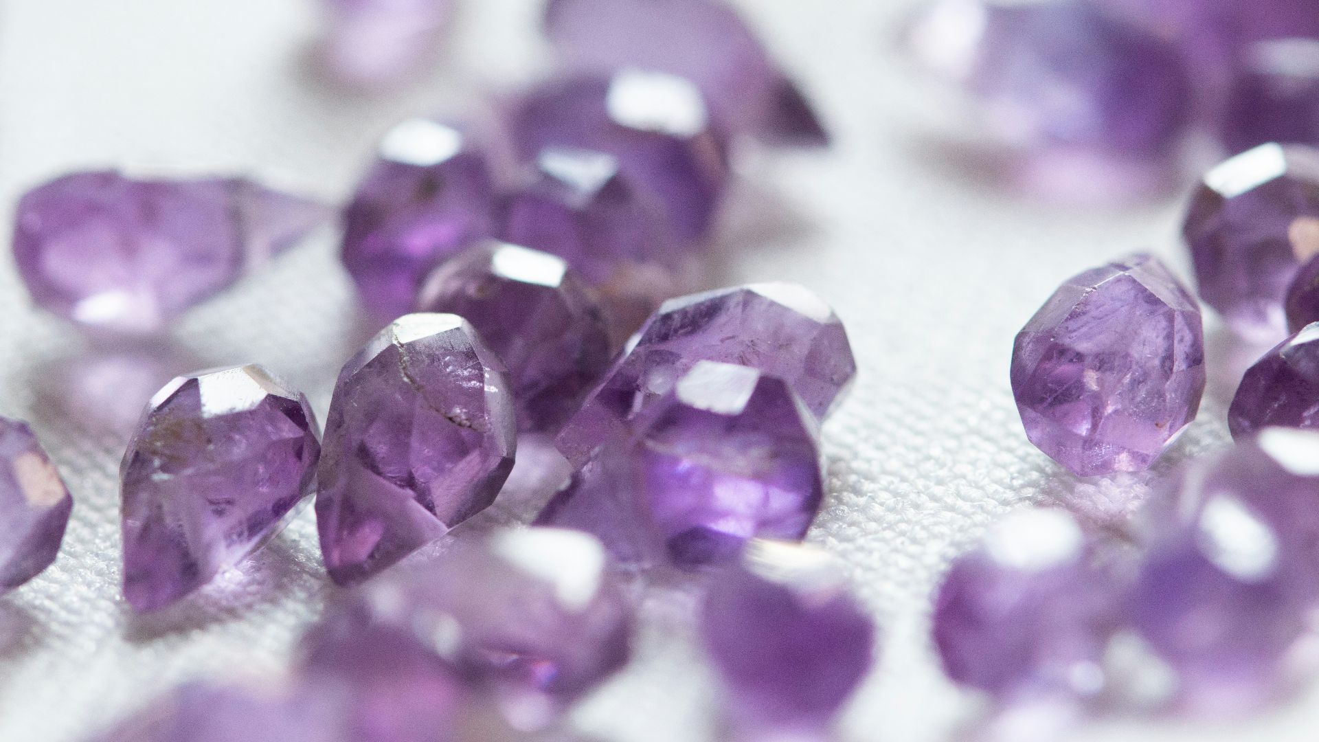 purple petals on white textile