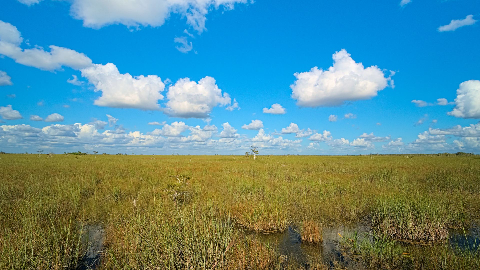 File:Everglades Pa-Hay-Oke Swamp.jpg