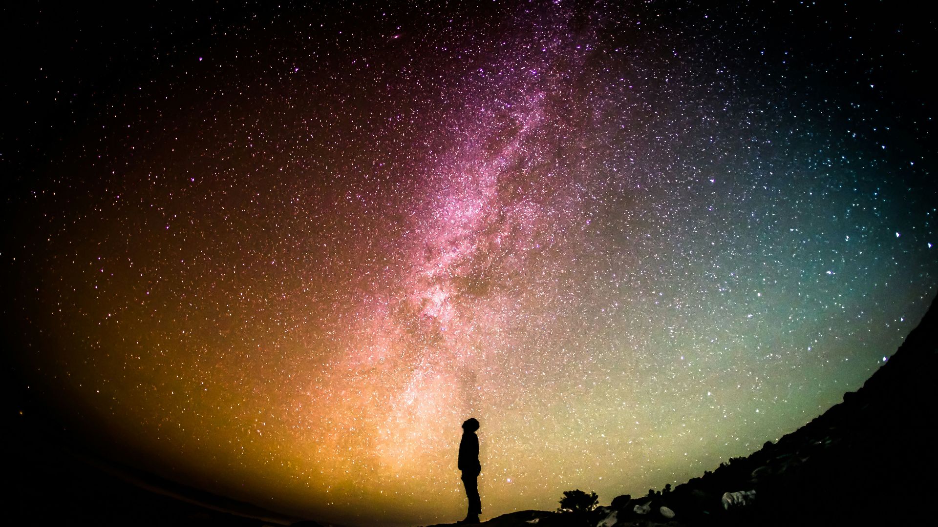 silhouette photography of person