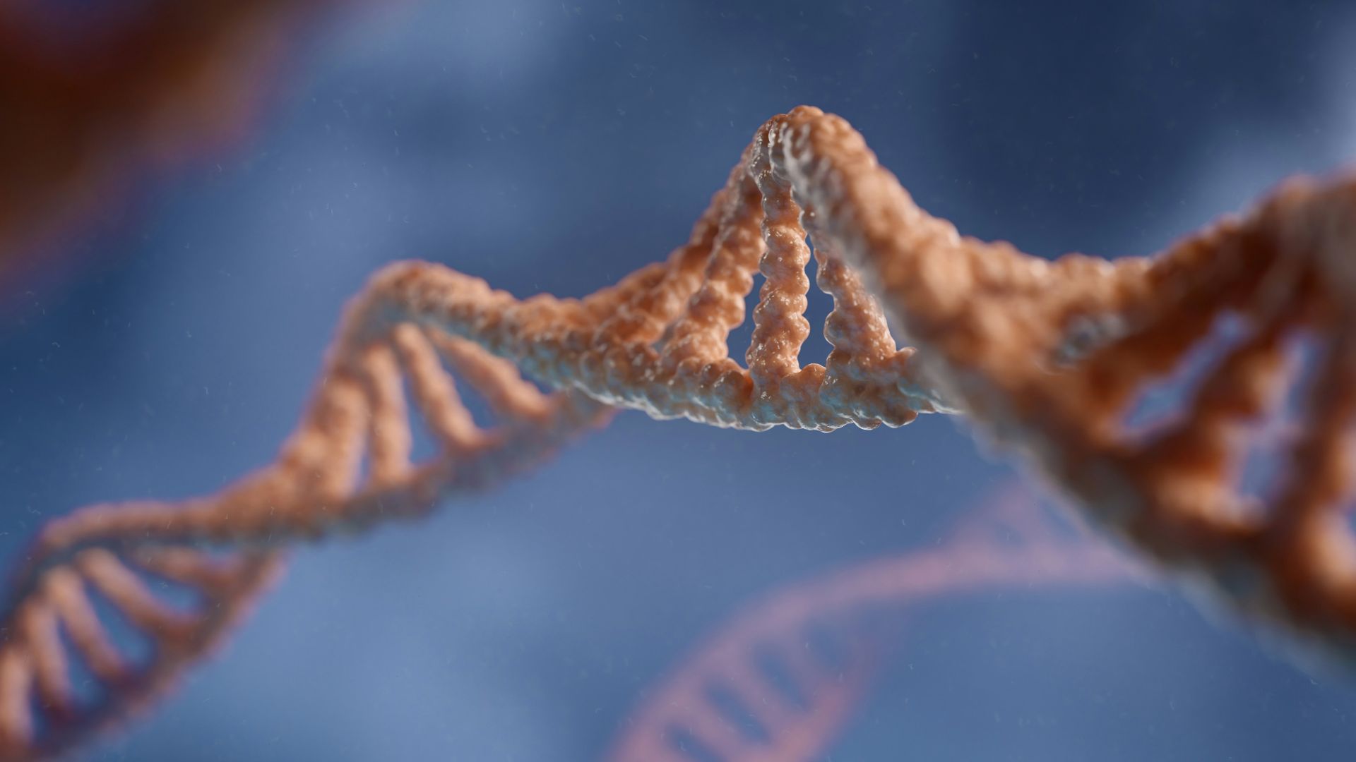 a close up of a structure with a blue background